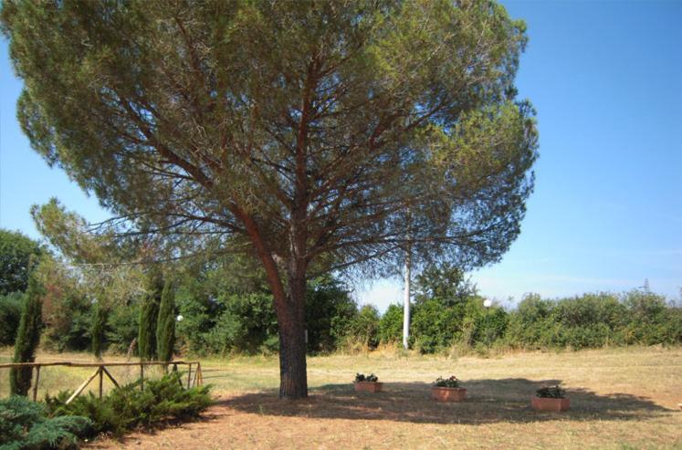 Agriturismo Casa Lenzi view 3