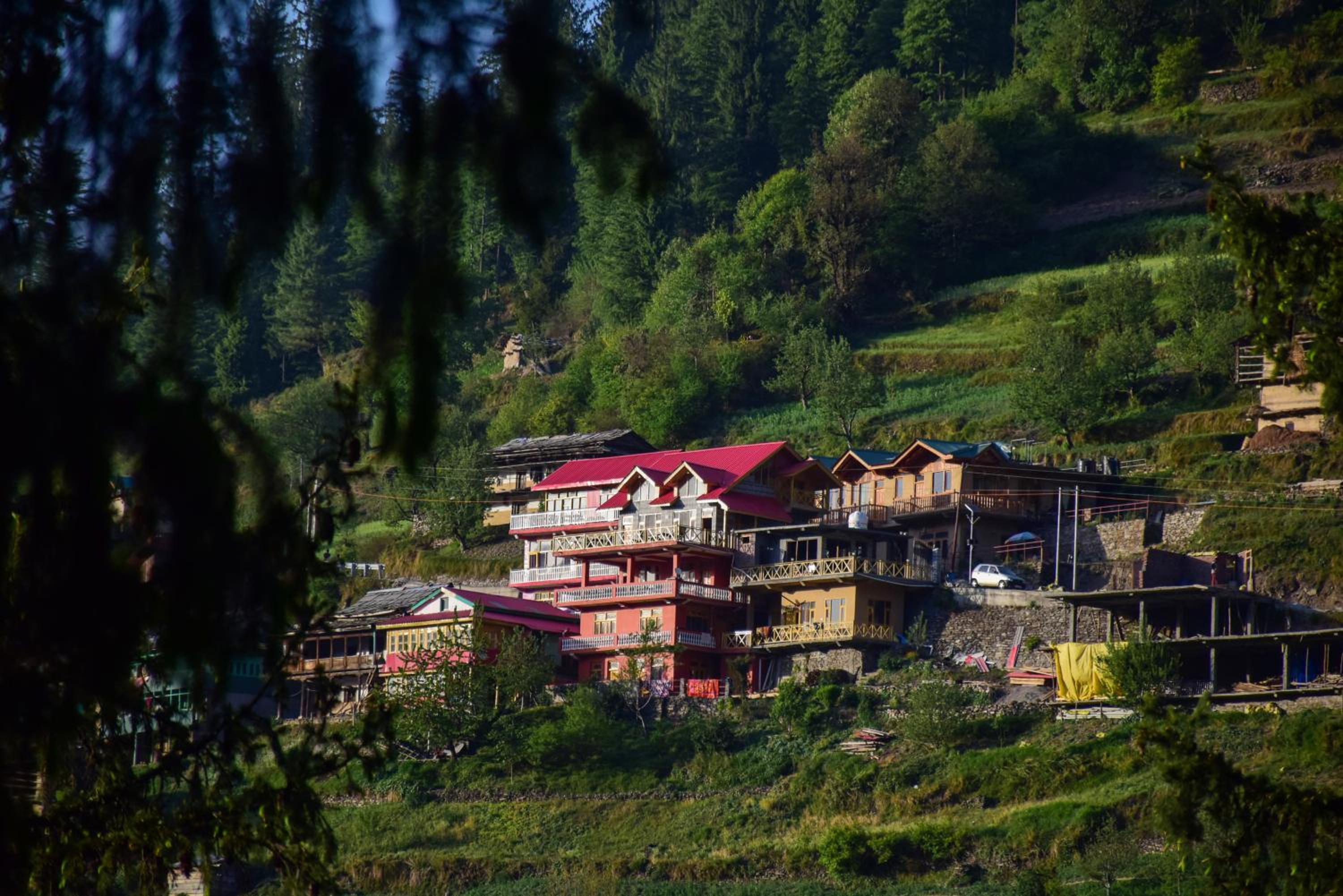 Abhishek Homestay
