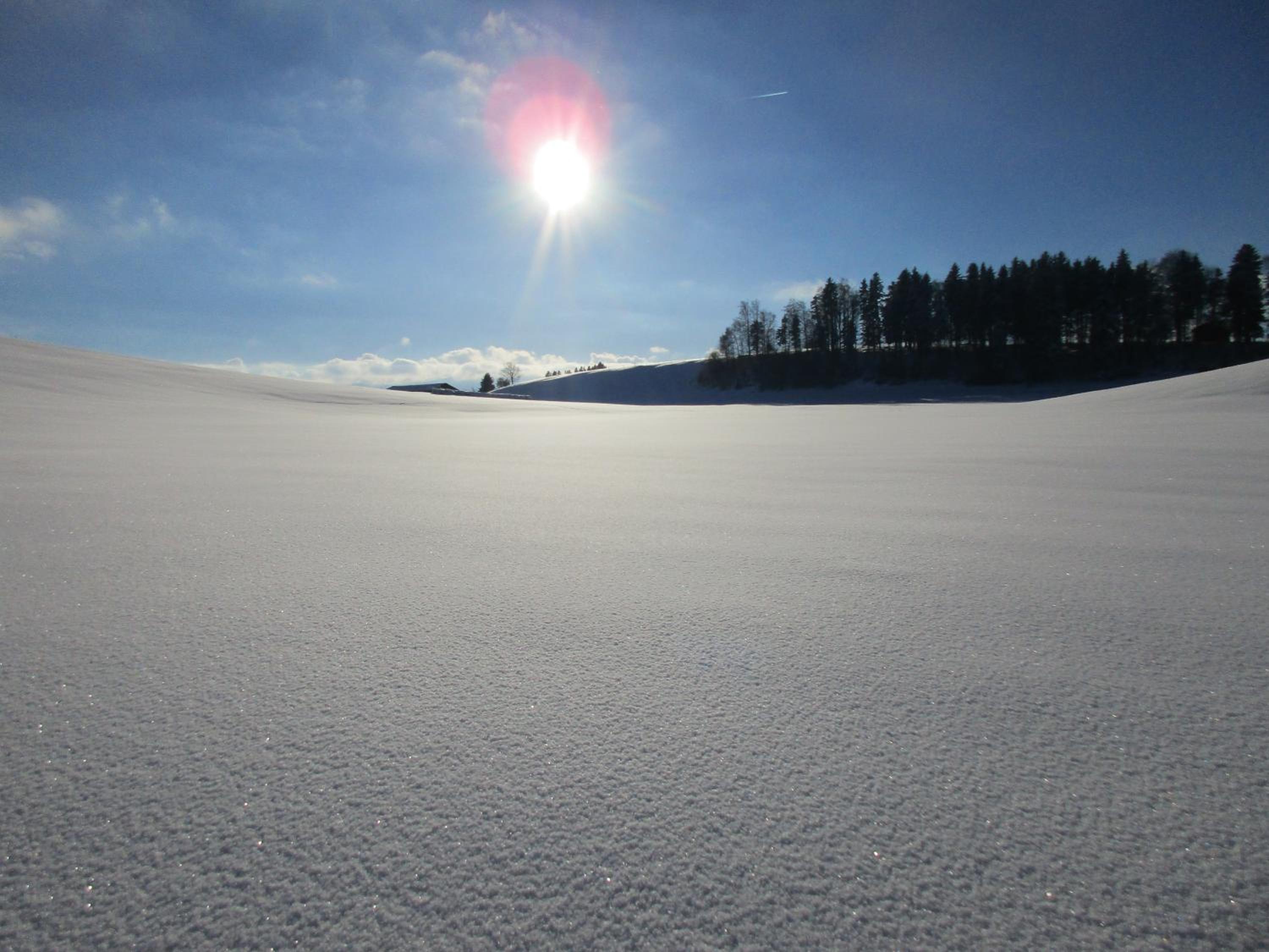 Hansihof im Allgäu