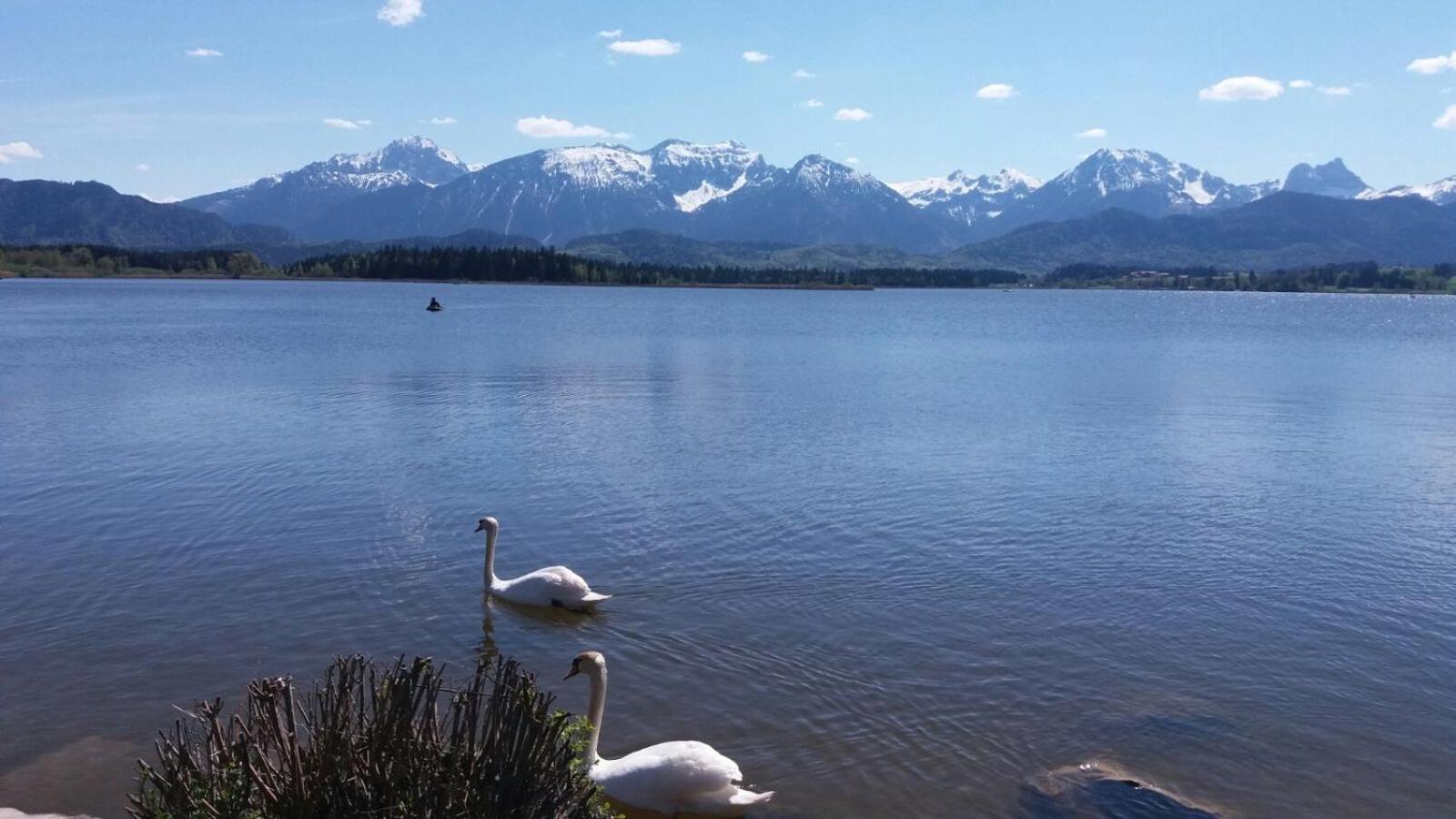 Hansihof im Allgäu