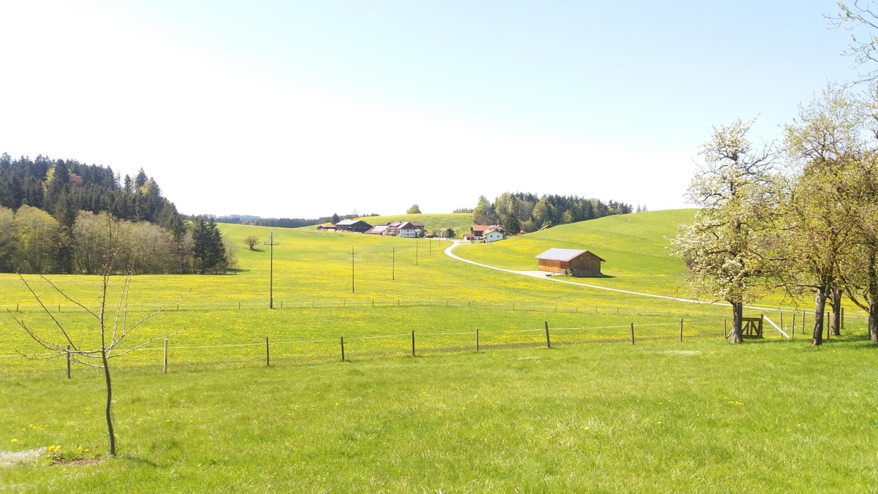 Hansihof im Allgäu