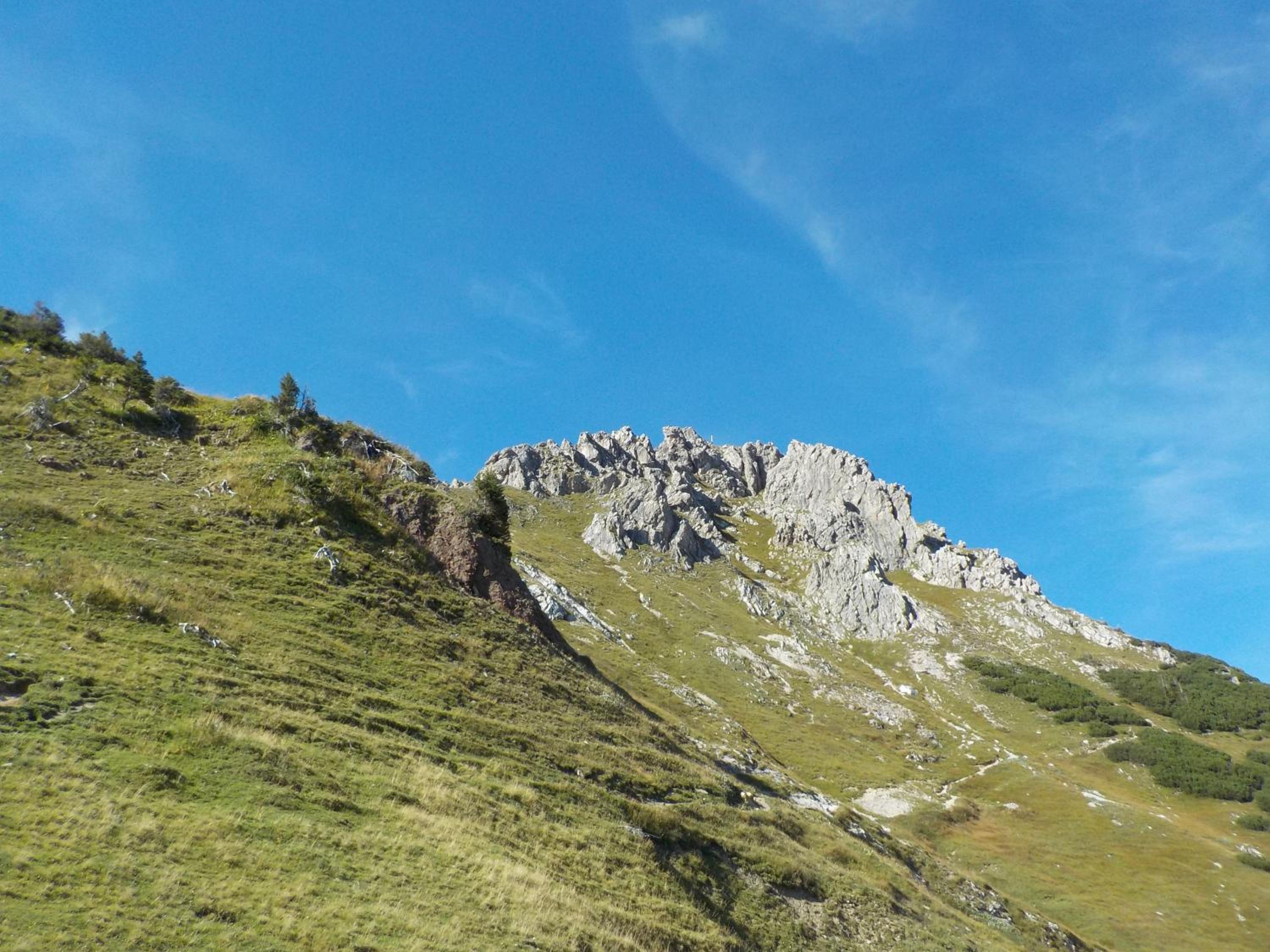 Hansihof im Allgäu