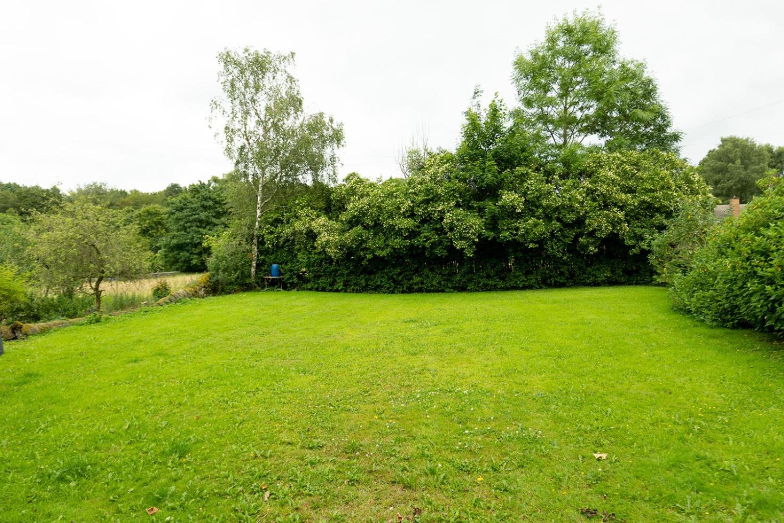 Photo 46