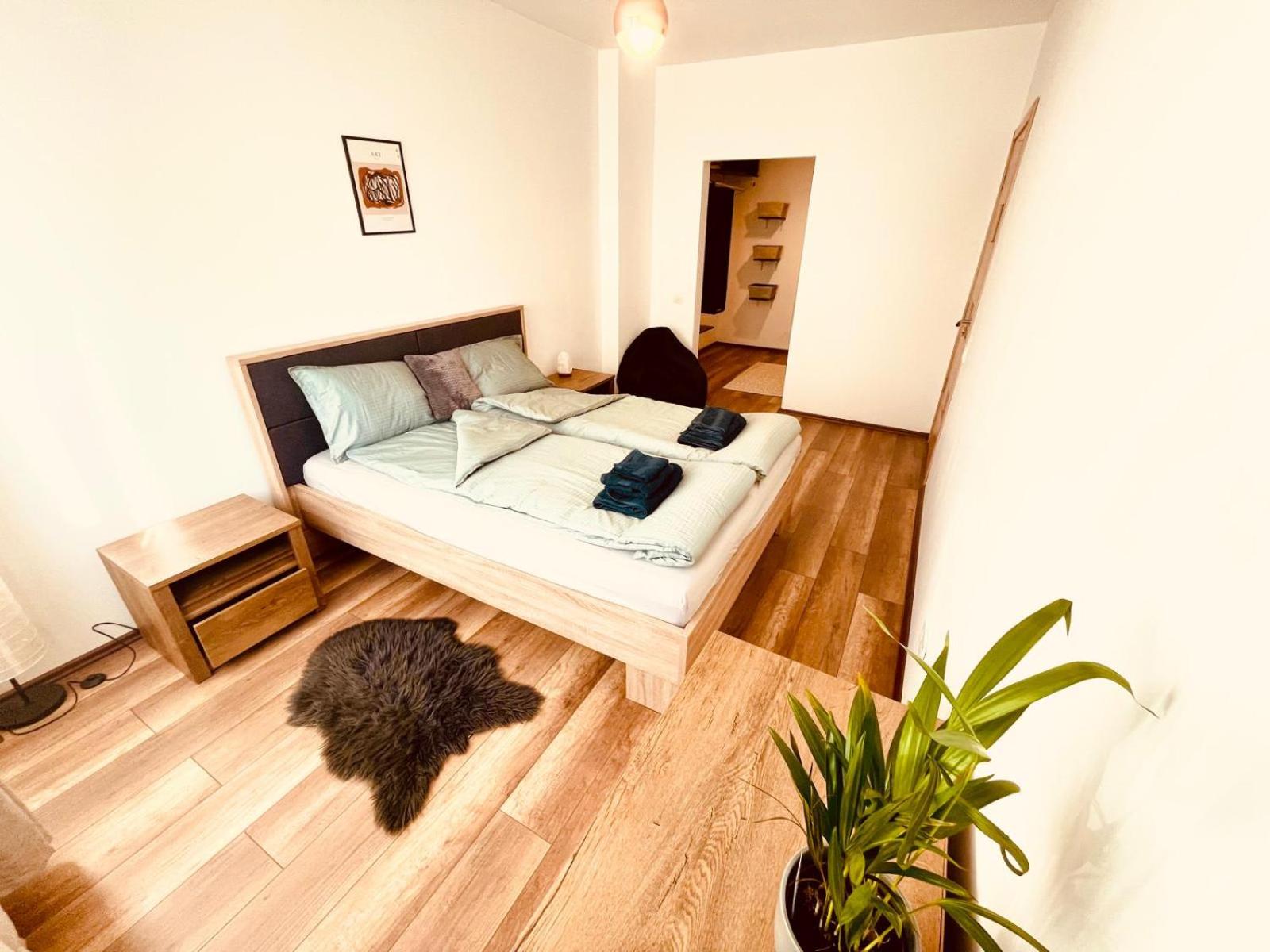 Cluj City Vivo Apartament Ametist view 3
