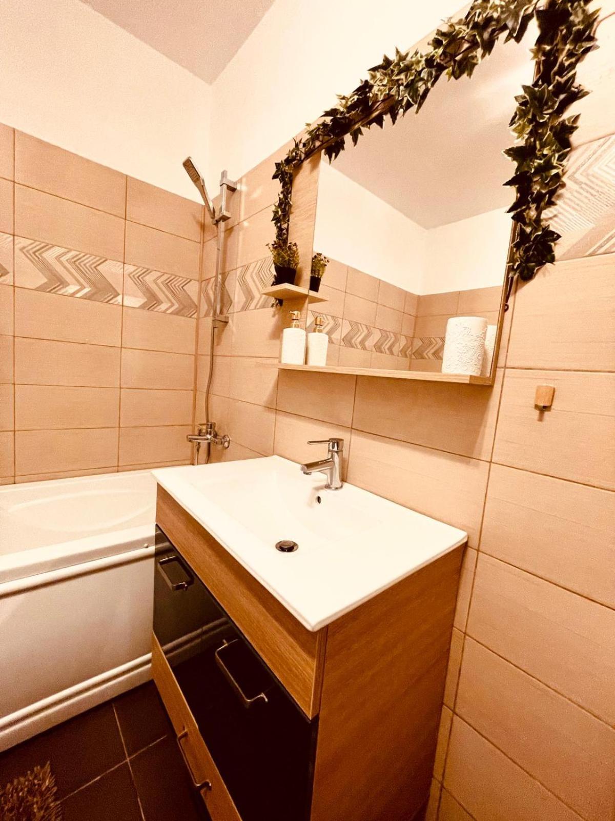 Cluj City Vivo Apartament Ametist view 4