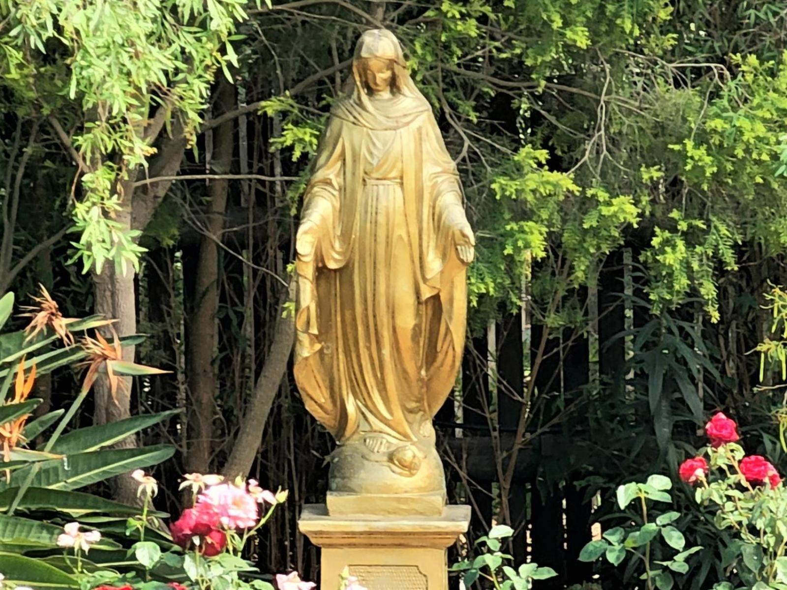 Photo 27