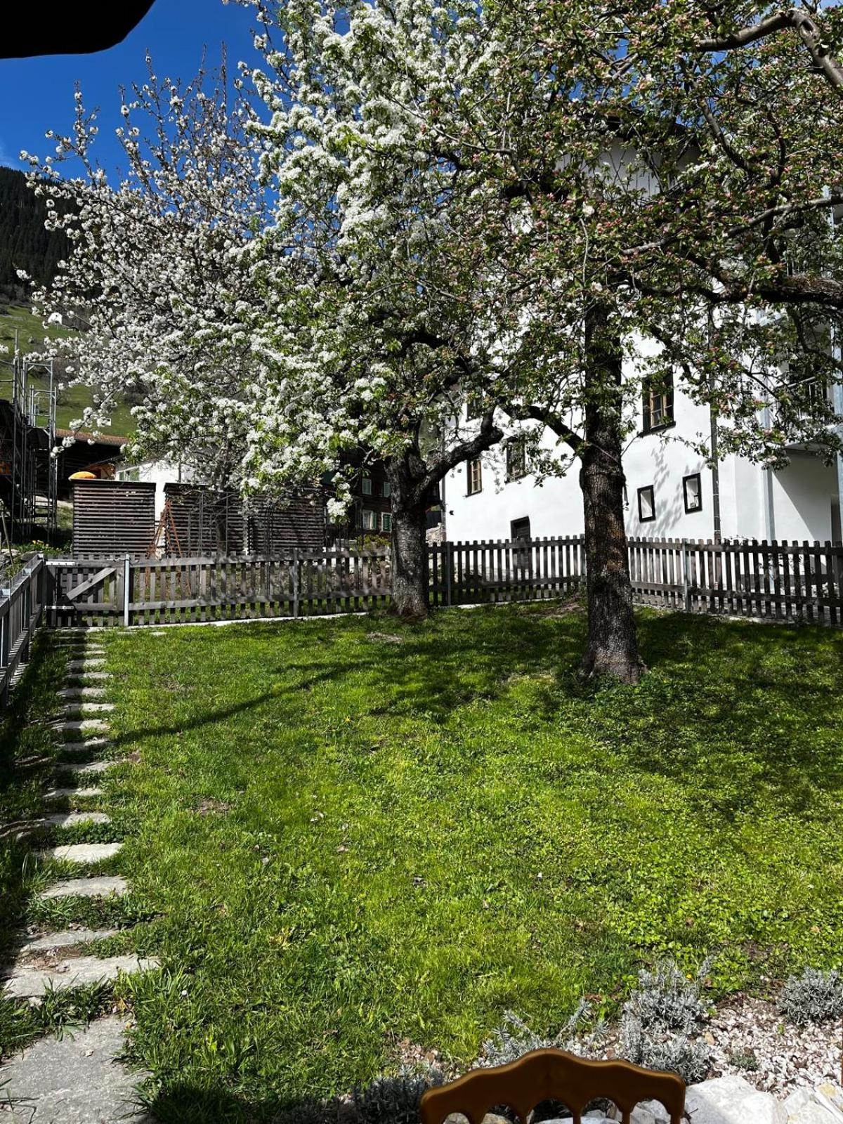 Photo 12