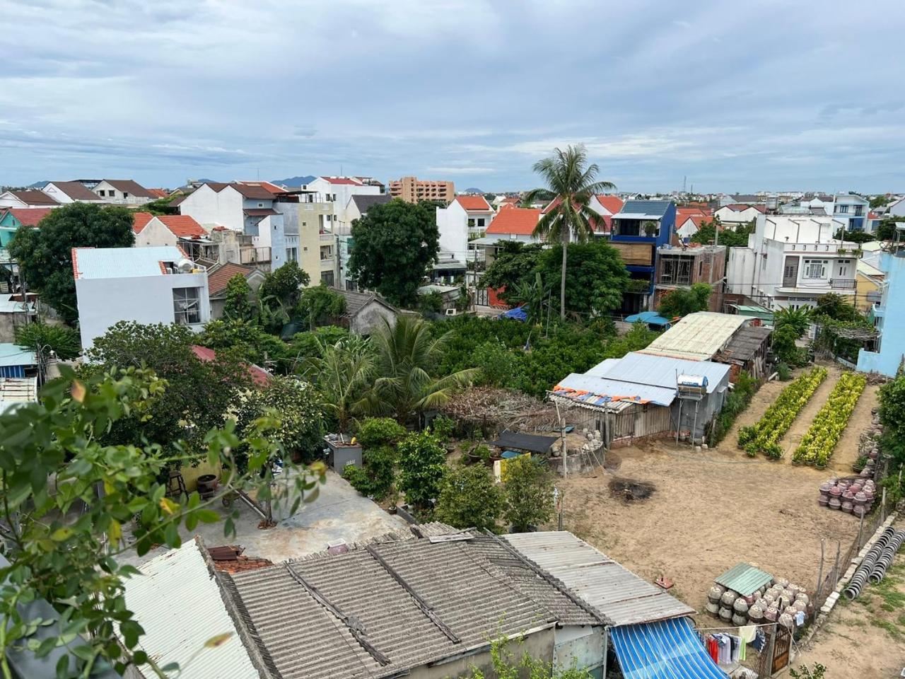 Oasis Homestay