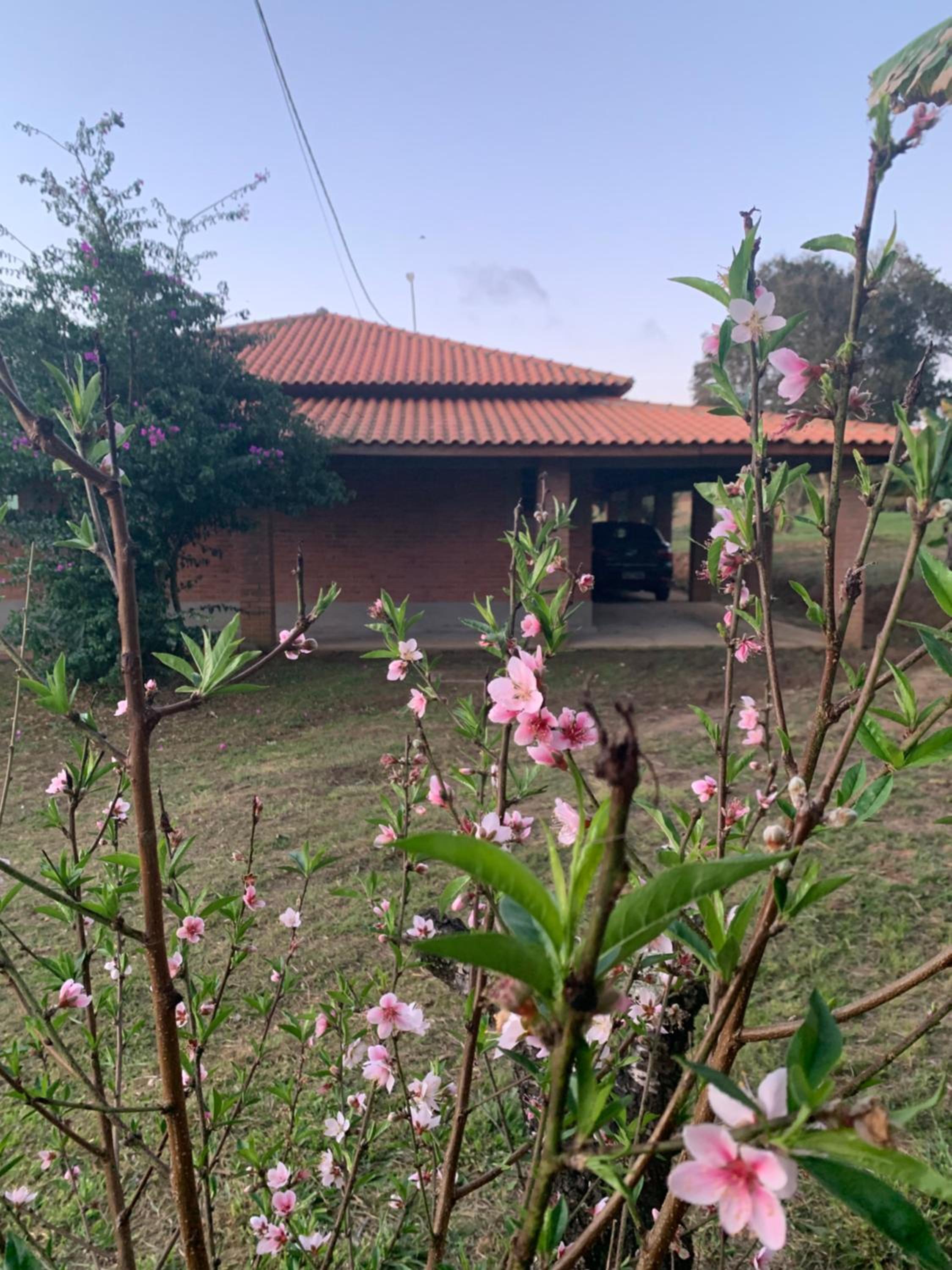 Chácara Primavera