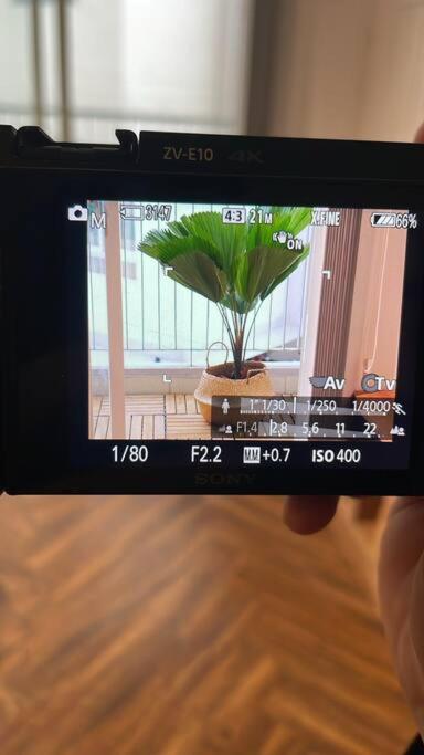 Photo 43