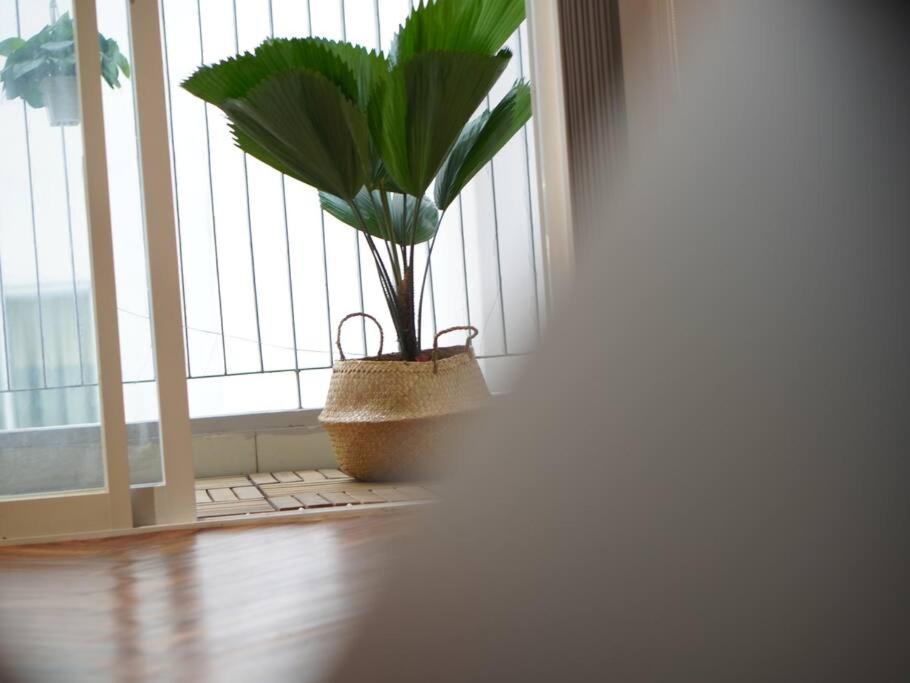 Photo 50