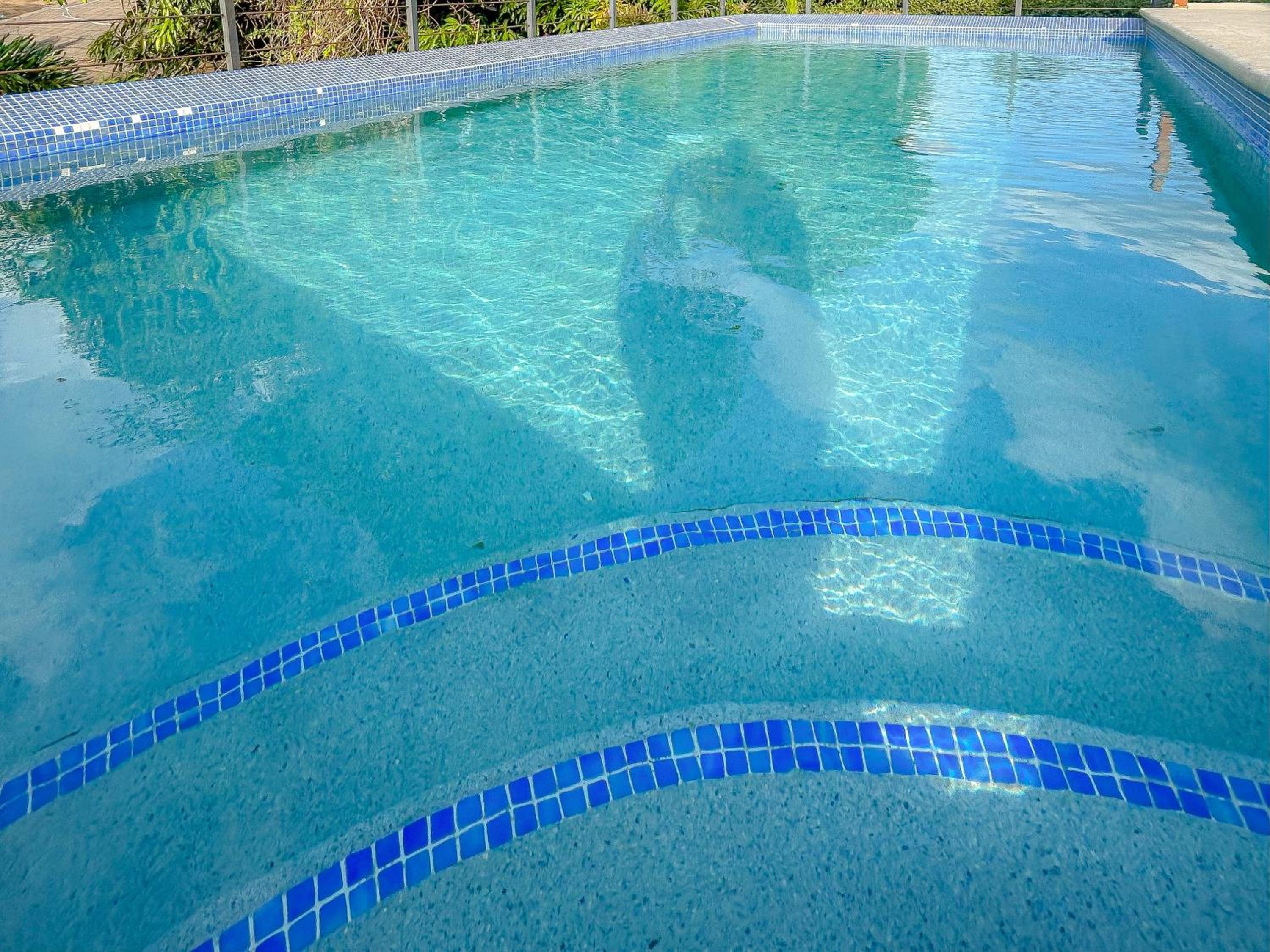 City View New Kingston Apartment w Pool