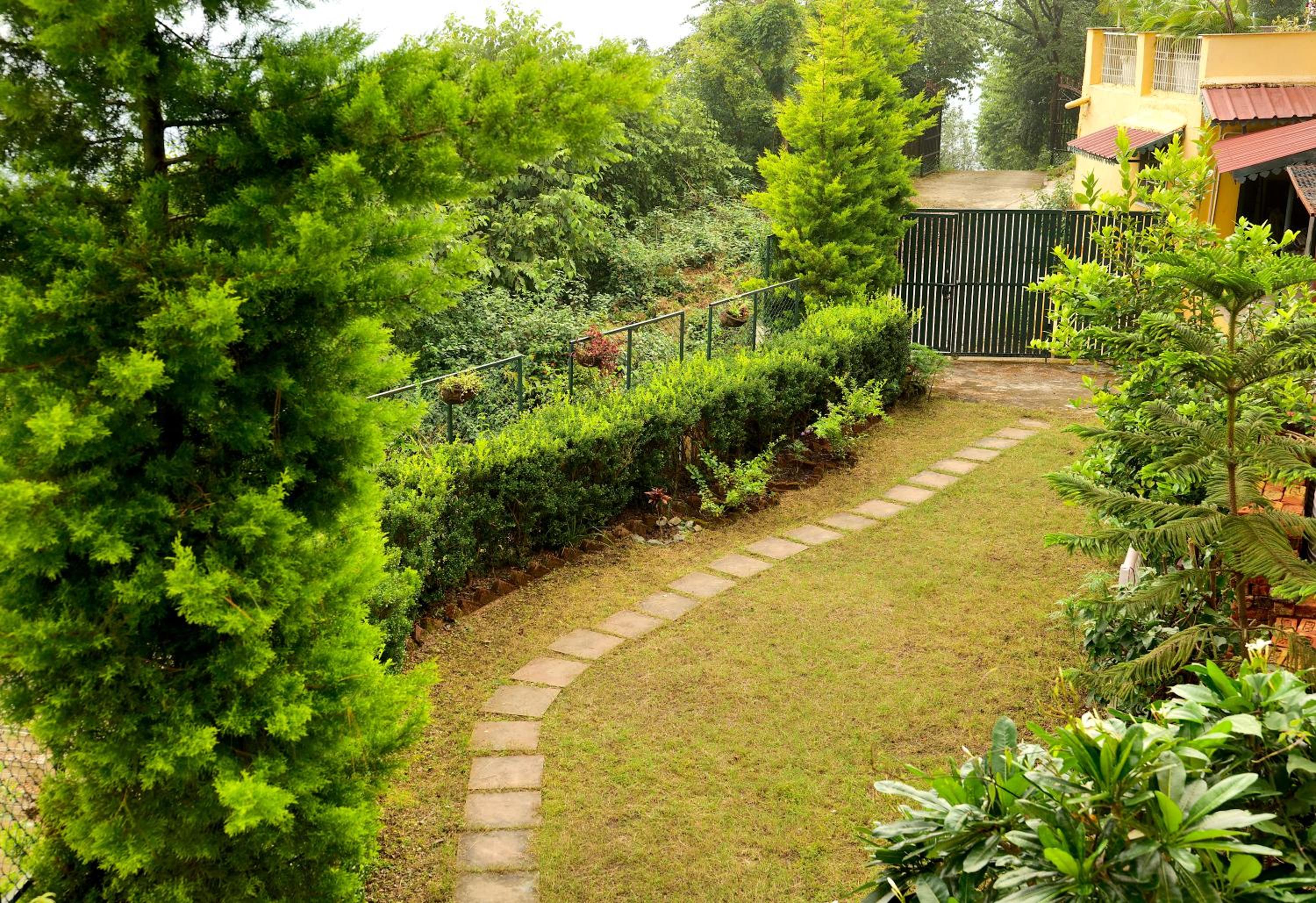 Photo 11