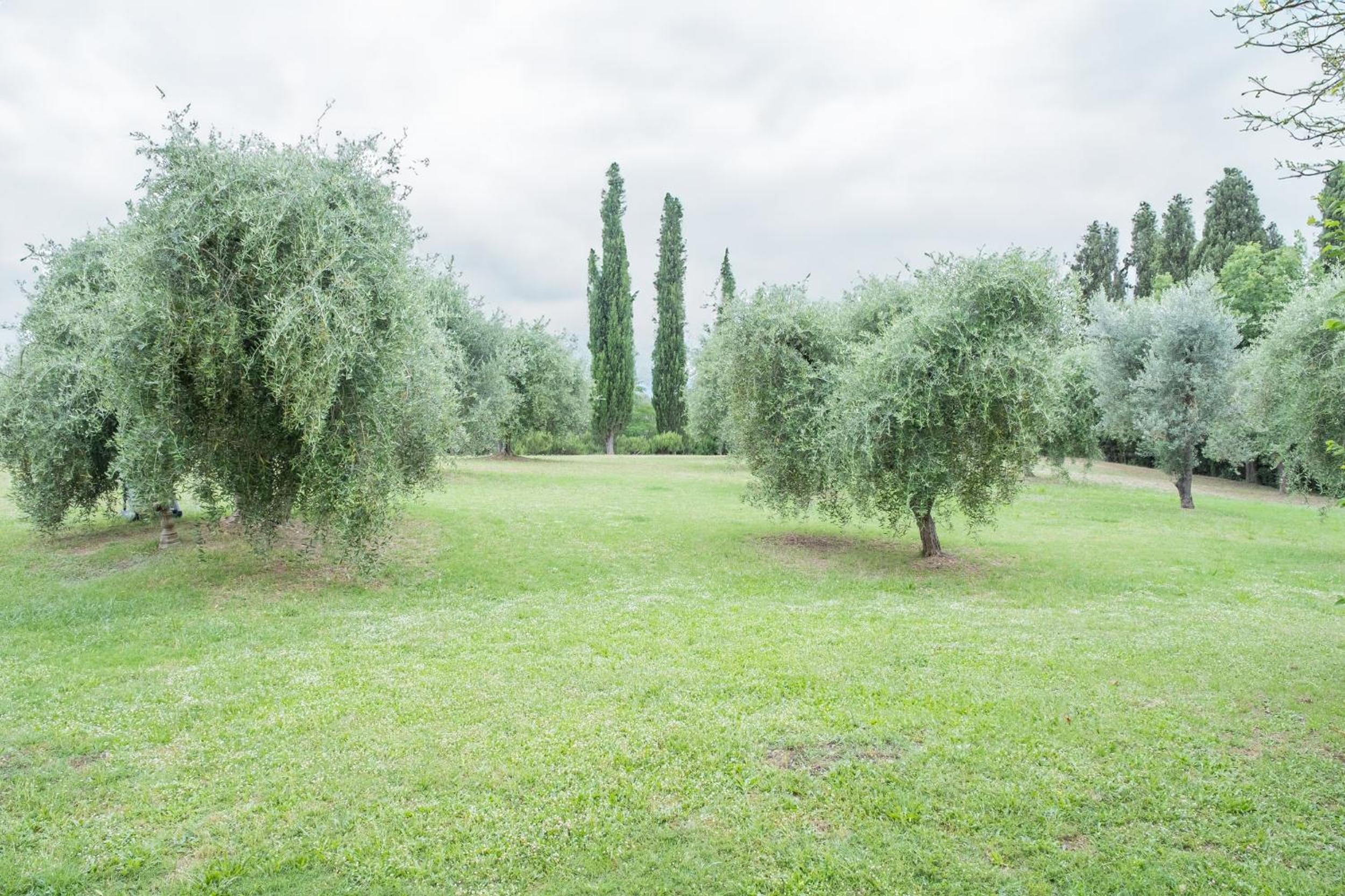 Photo 38