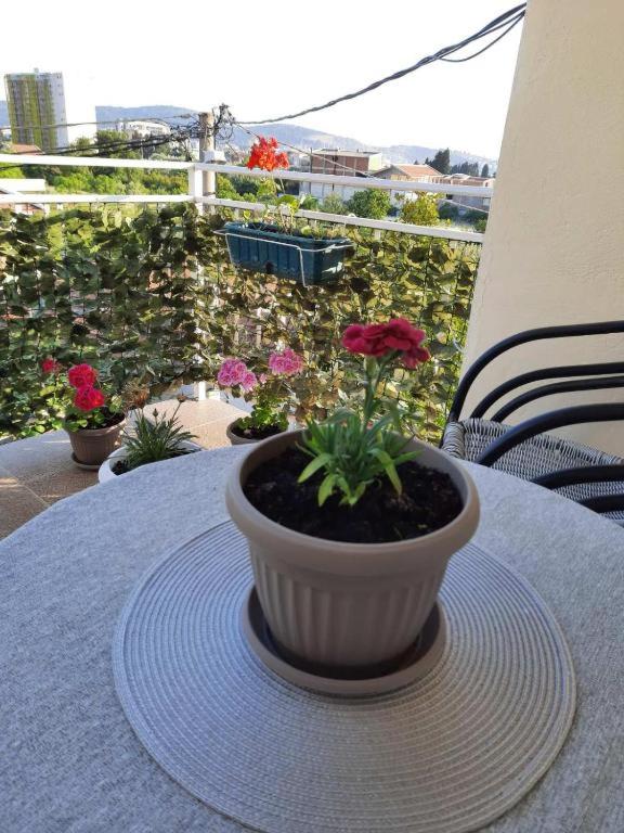 Šušanj Ilino APARTMAN view 2