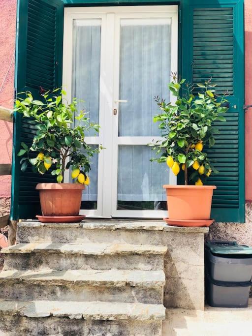 Amazing flat at the heart of 5 Terre National Park photo 4