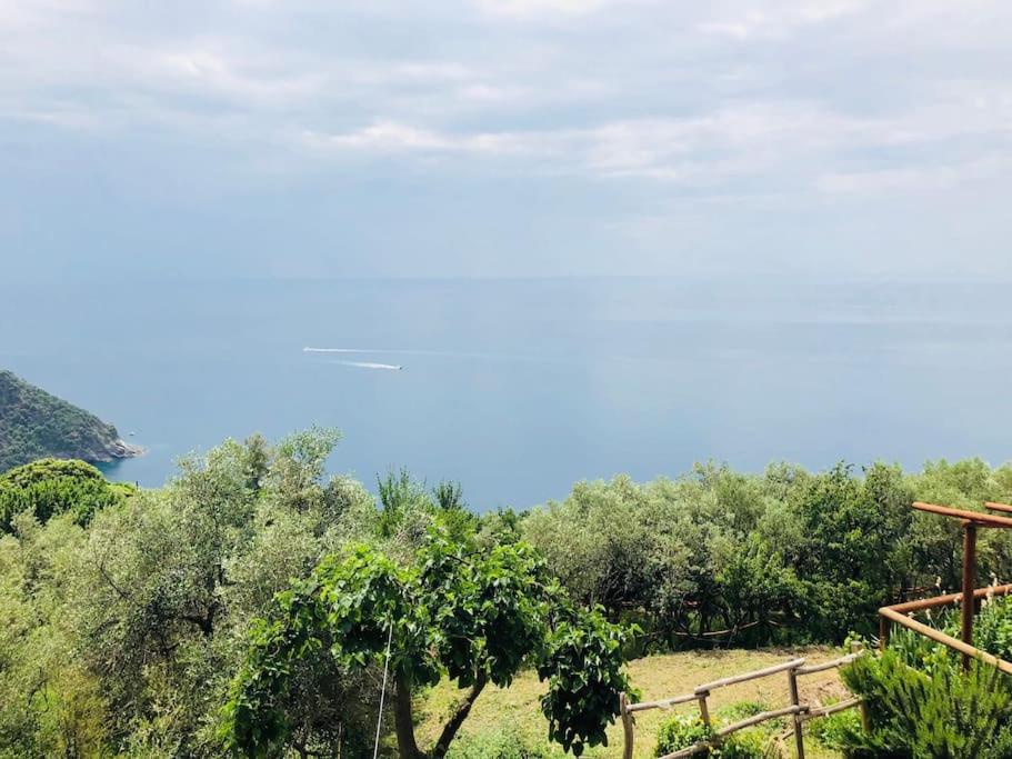 Amazing flat at the heart of 5 Terre National Park photo 5