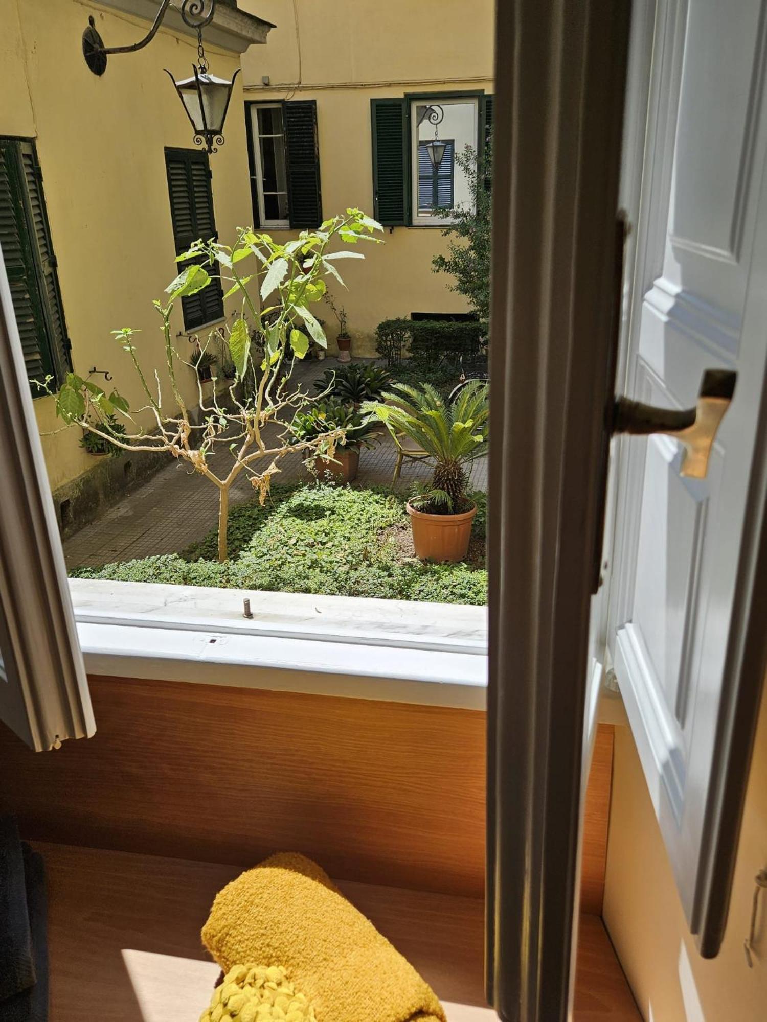 Home Rome Borsieri