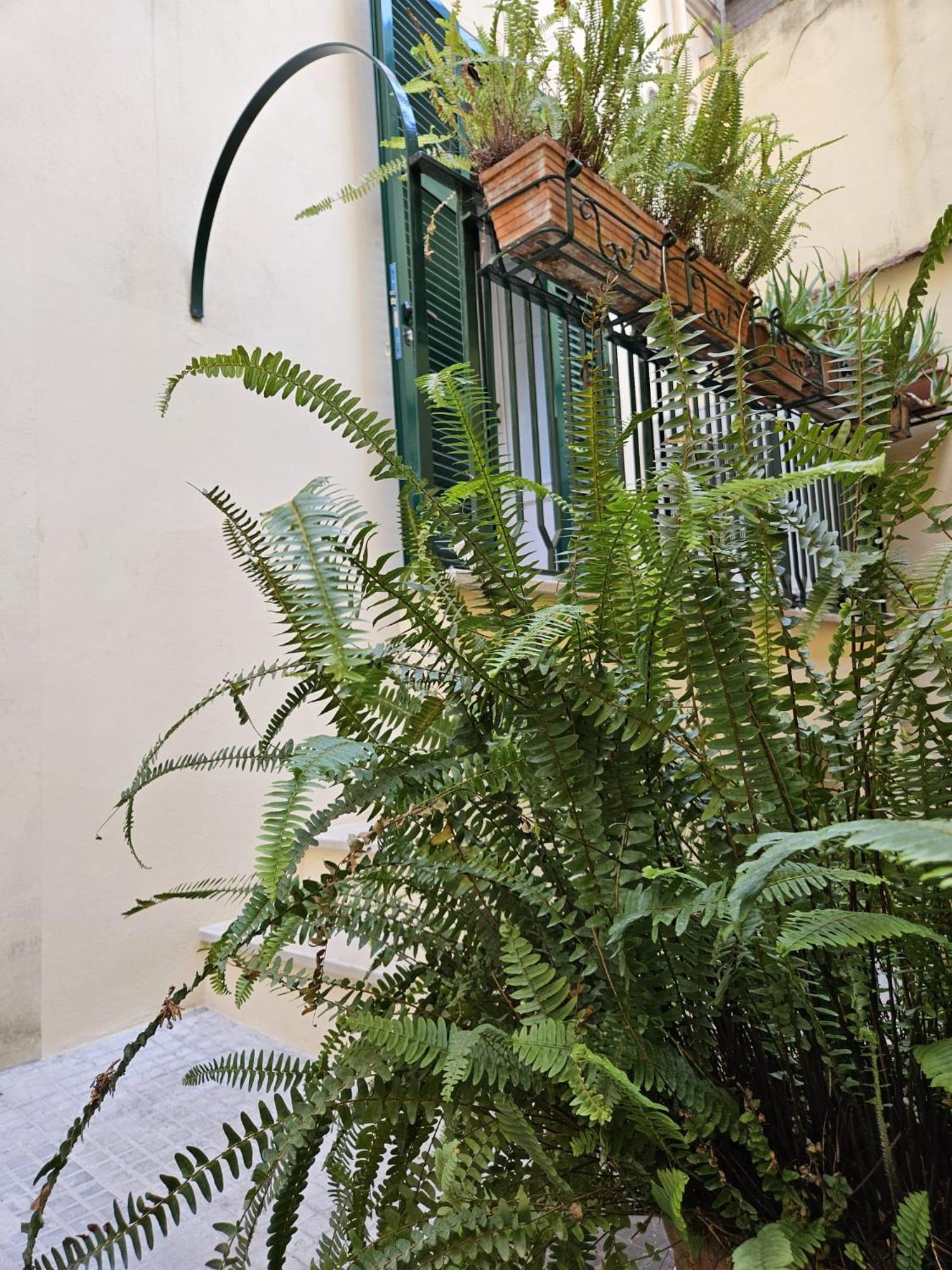 Home Rome Borsieri