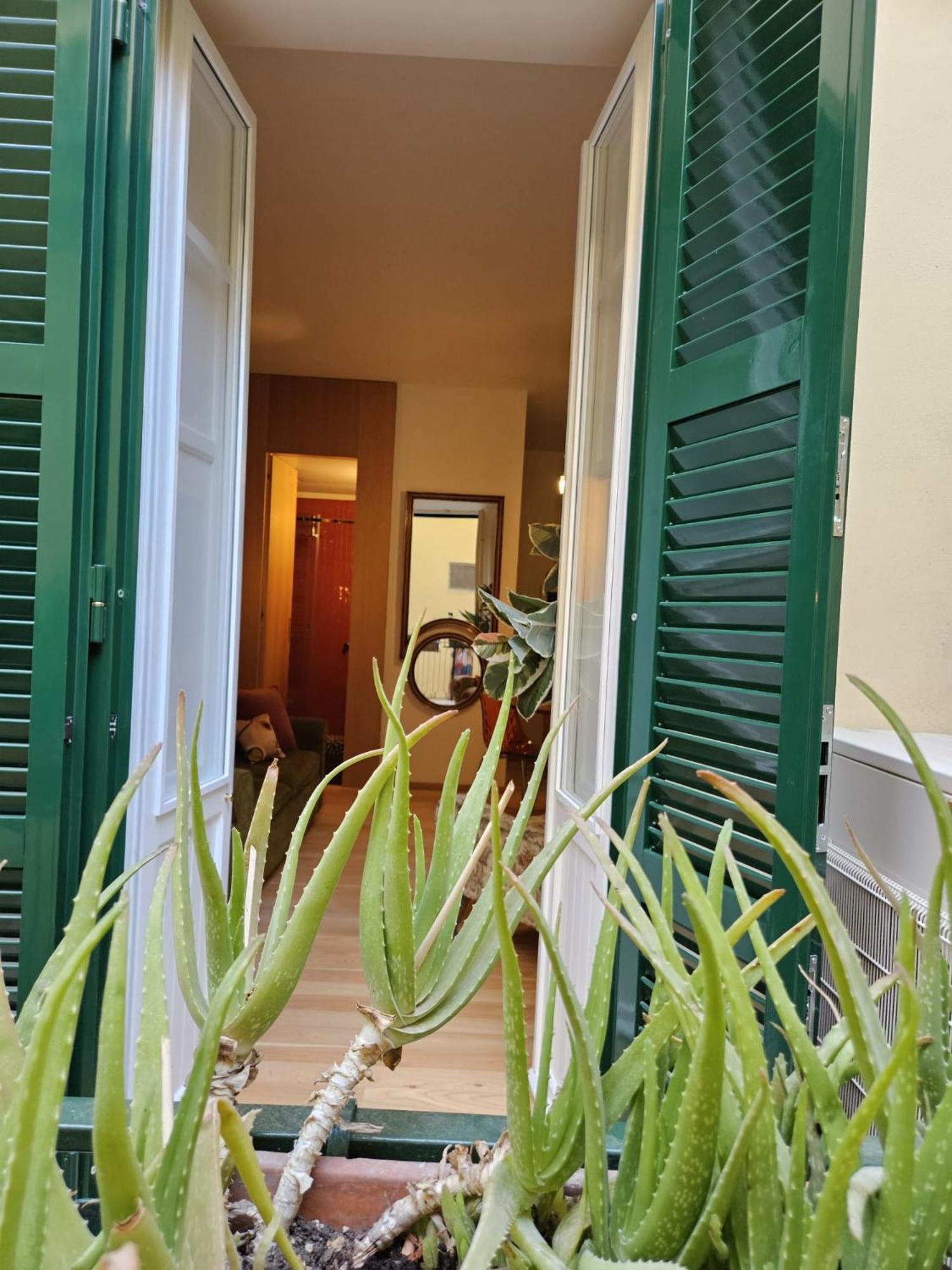 Home Rome Borsieri