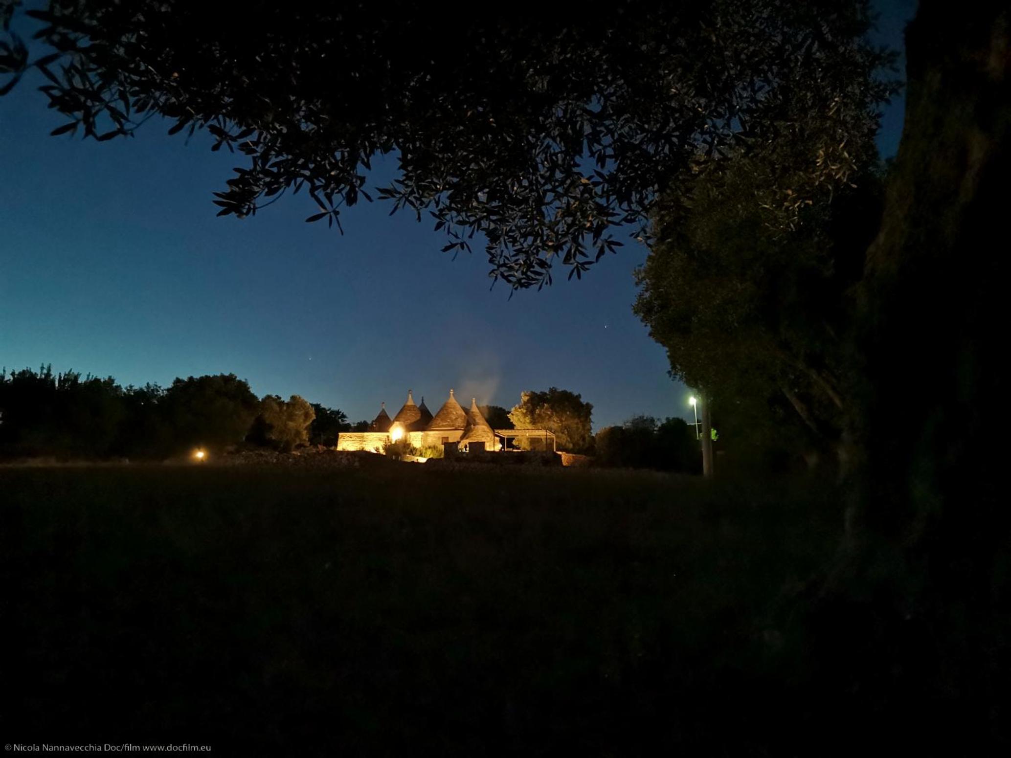Photo 44