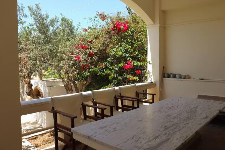 colored houses photo 3