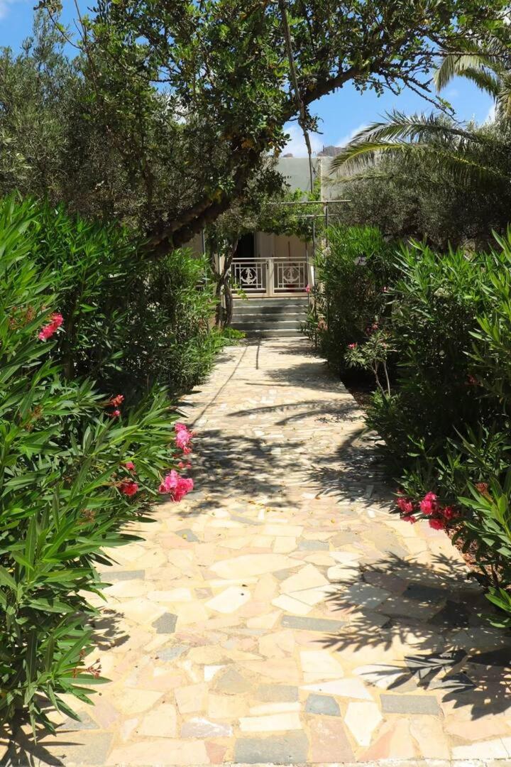 colored houses photo 2