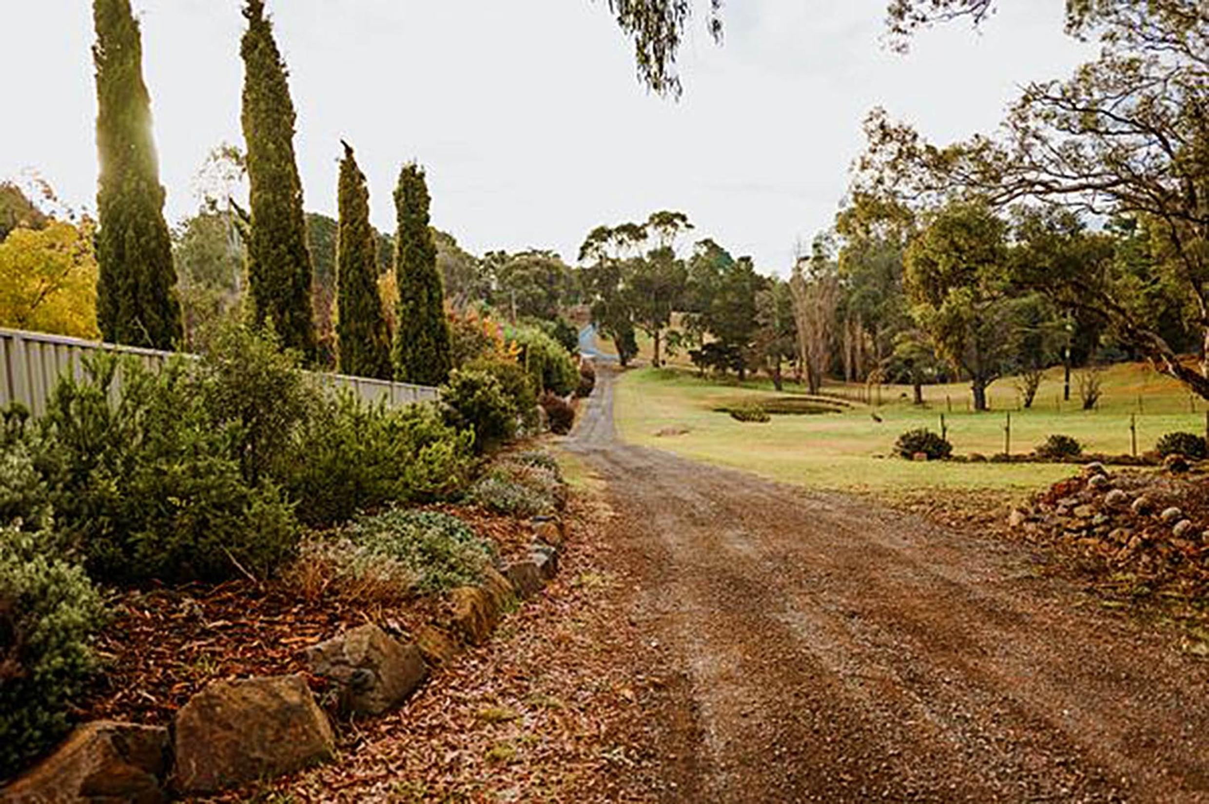 Country Cottage in Town