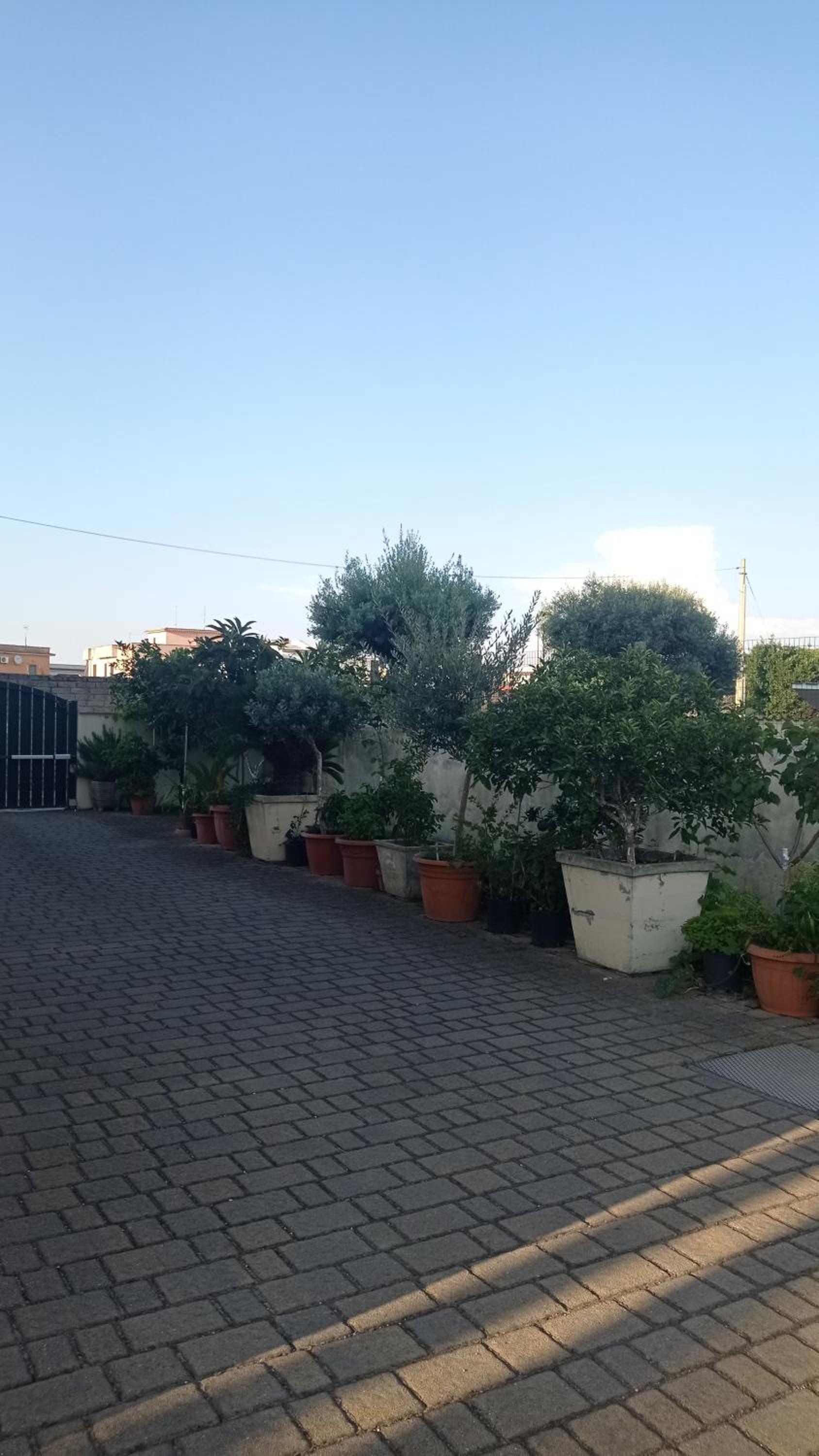 Appartamento Alloggio turistico da Alex