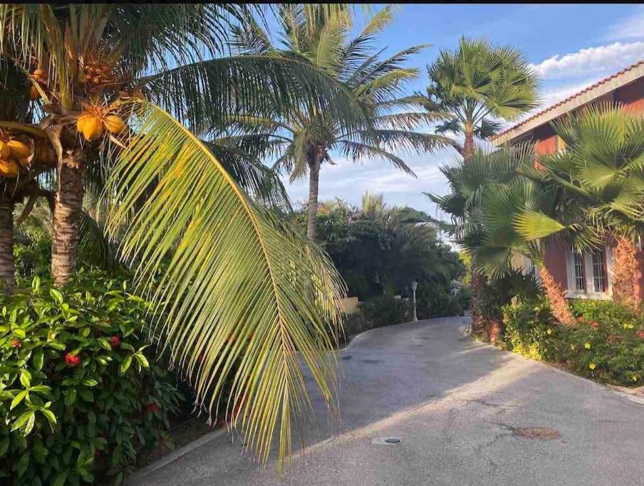 Tropisch paradijs Villa Jan Thiel Curaçao