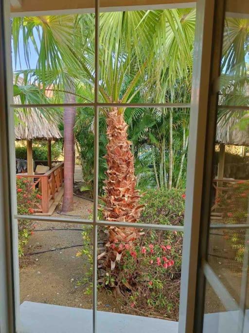 Tropisch paradijs Villa Jan Thiel Curaçao