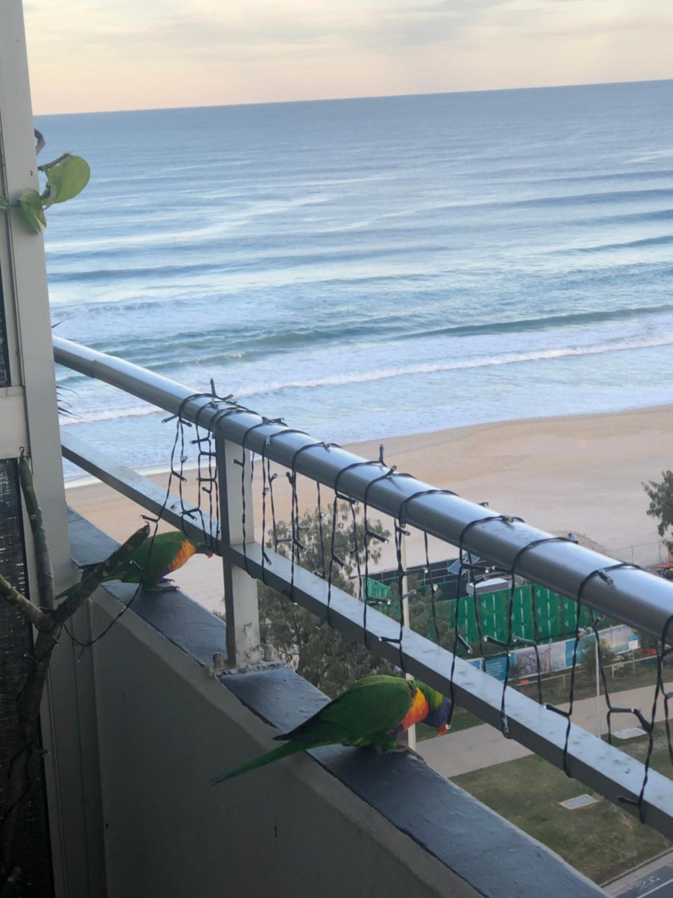 Equinox - your beach front retreat!