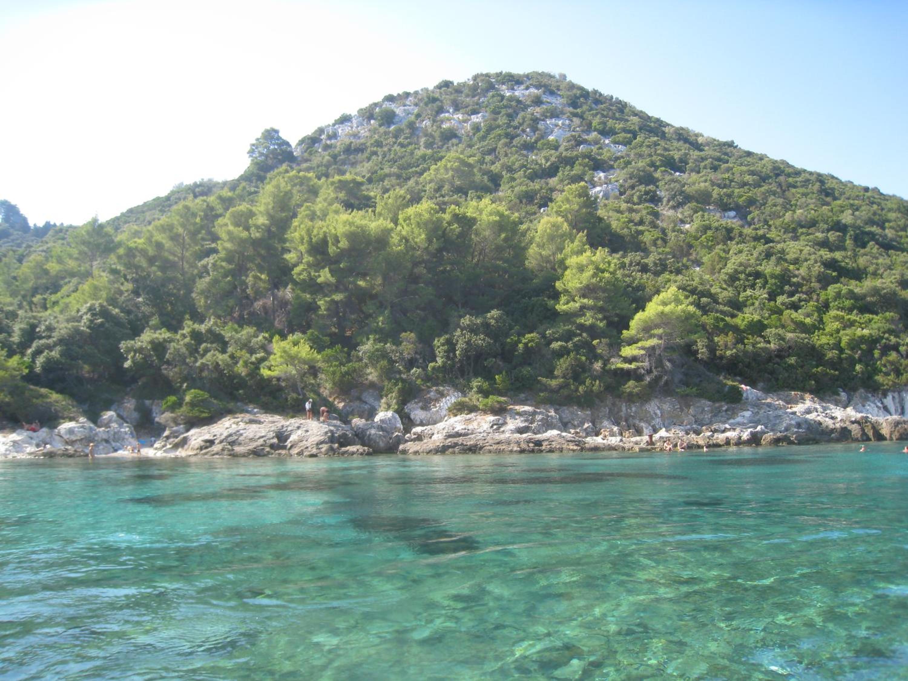 SUNNY BLUE