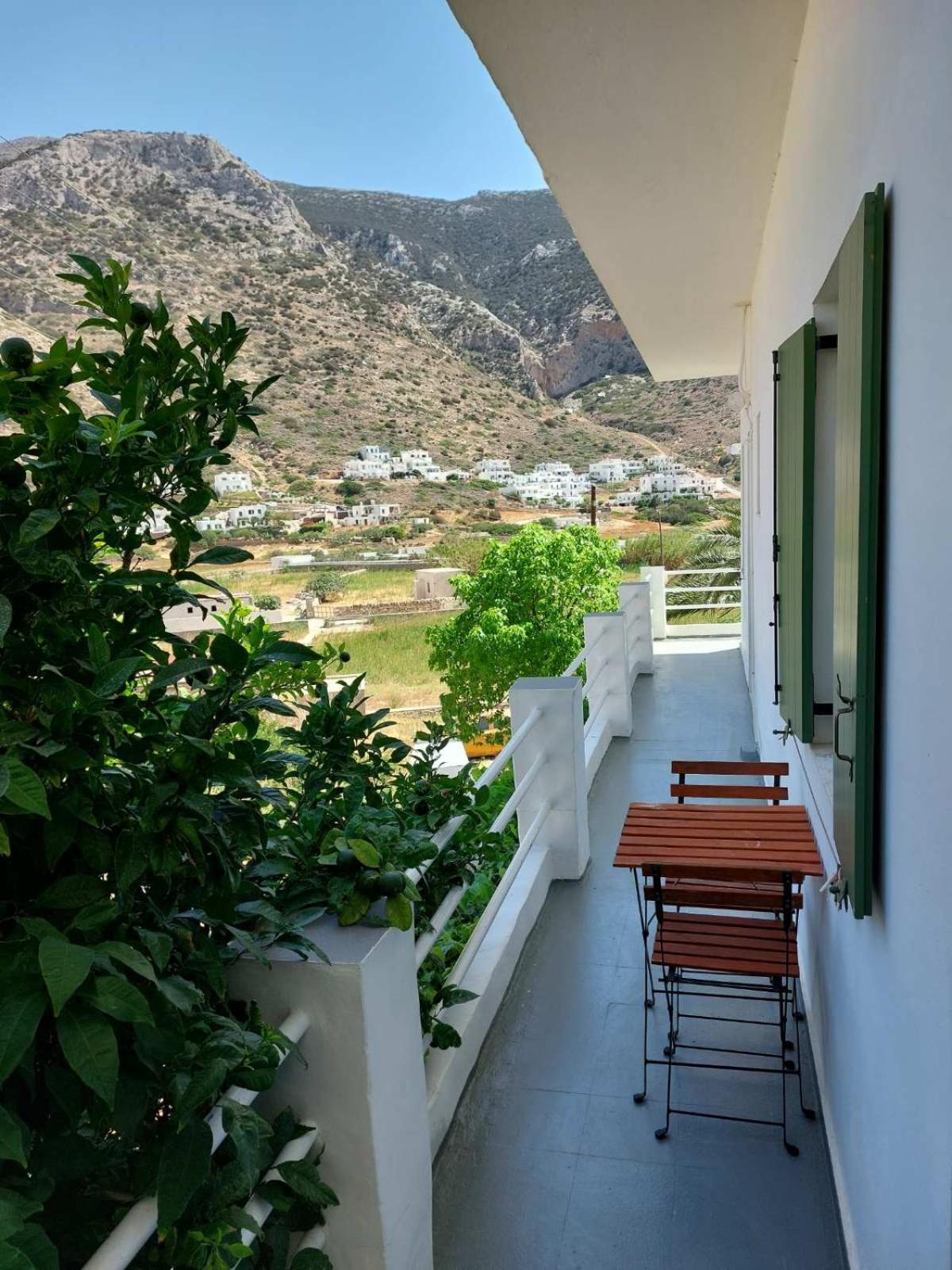 Oasis
