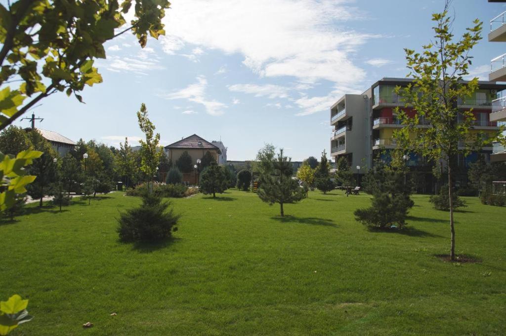 Photo 31