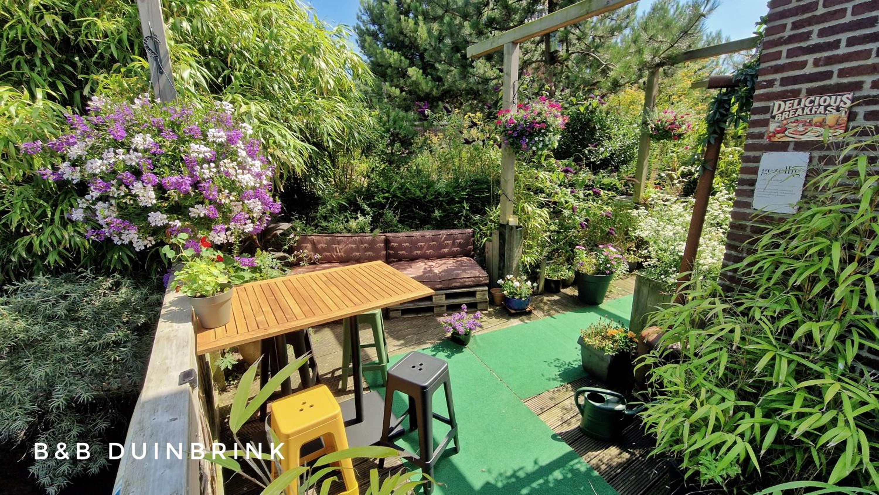 B&B Duinbrink view 2