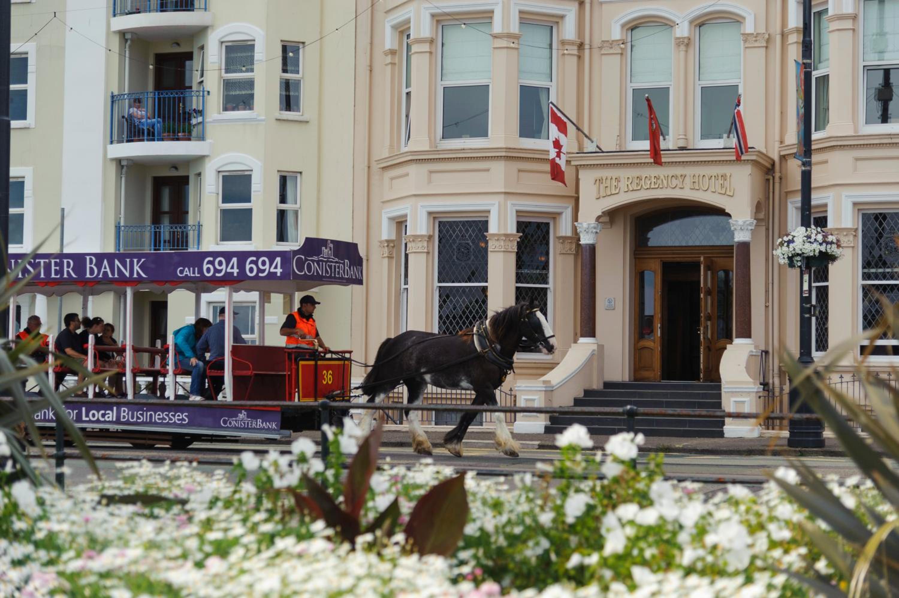 Douglas Vacations - Regency Hotel - Property Image 27