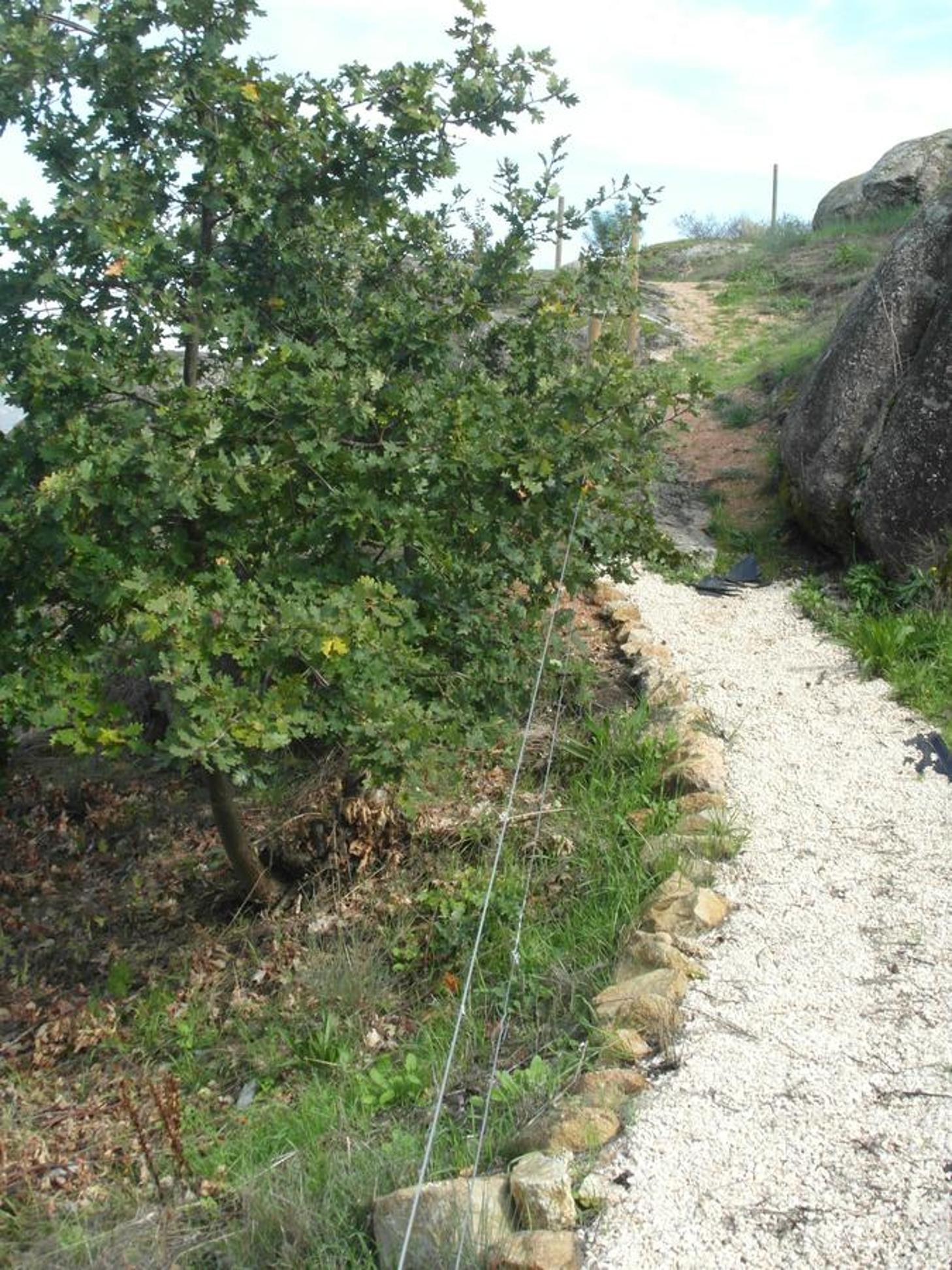 Photo 42