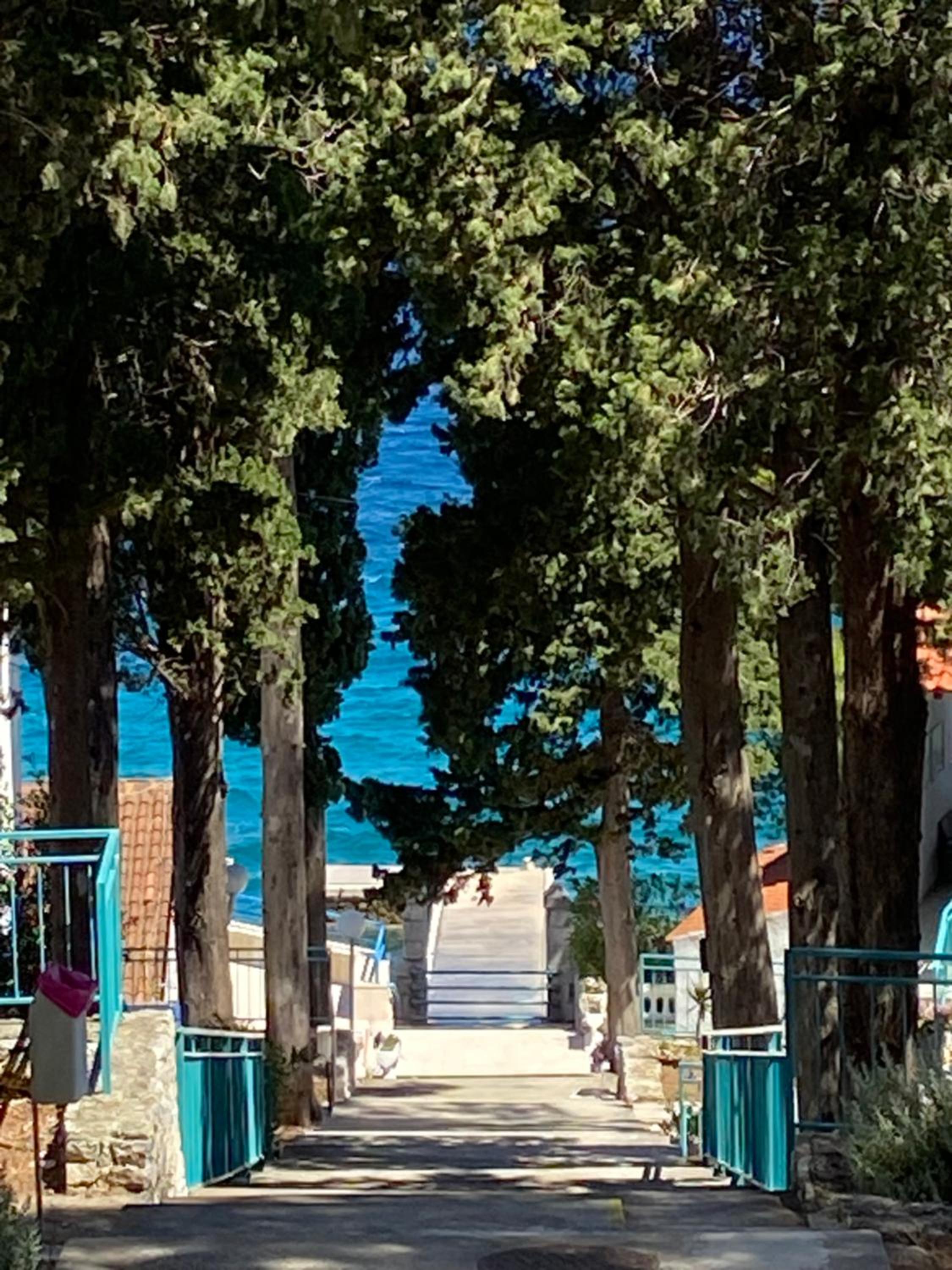 SUNNY BLUE