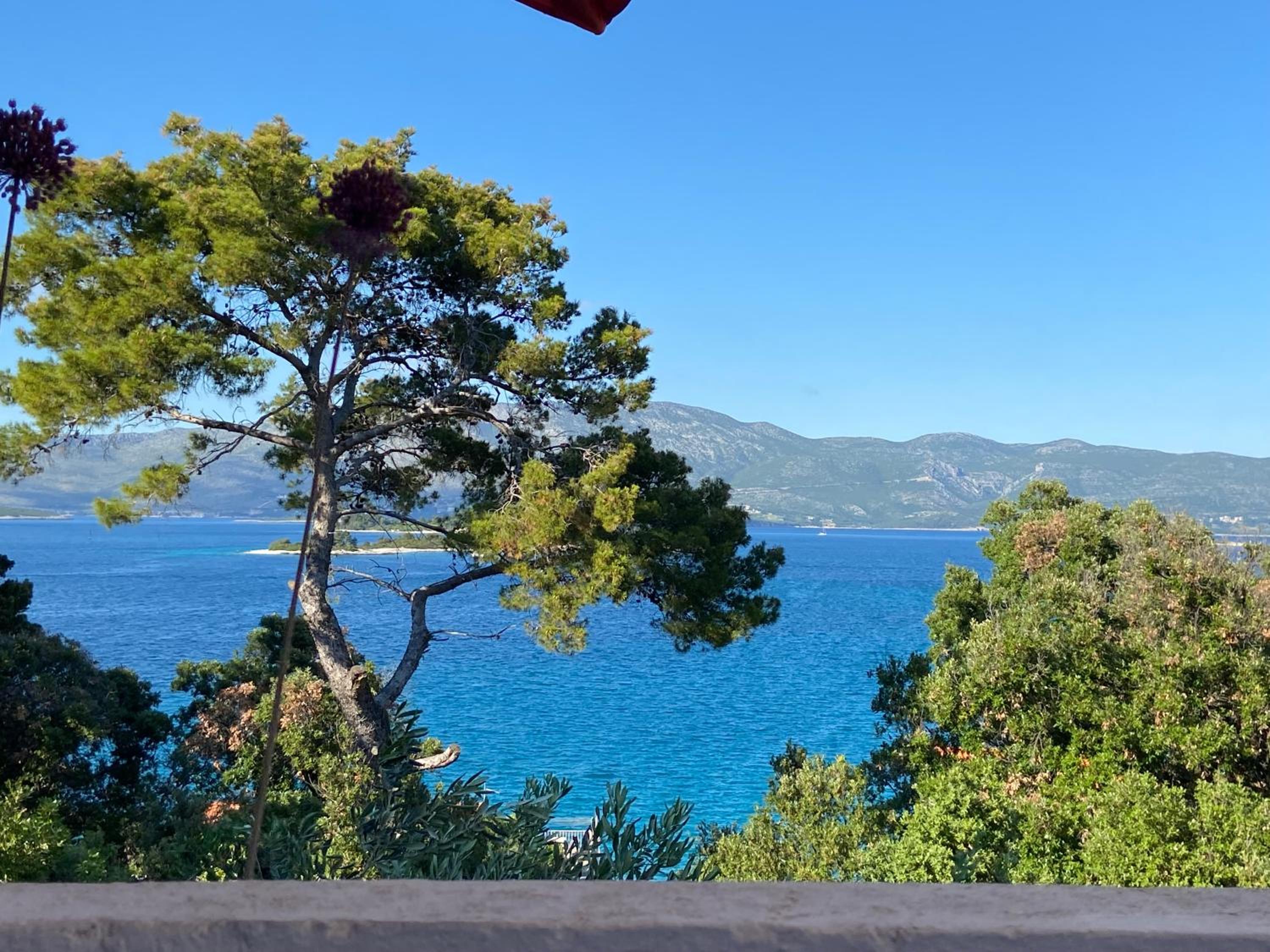 SUNNY BLUE