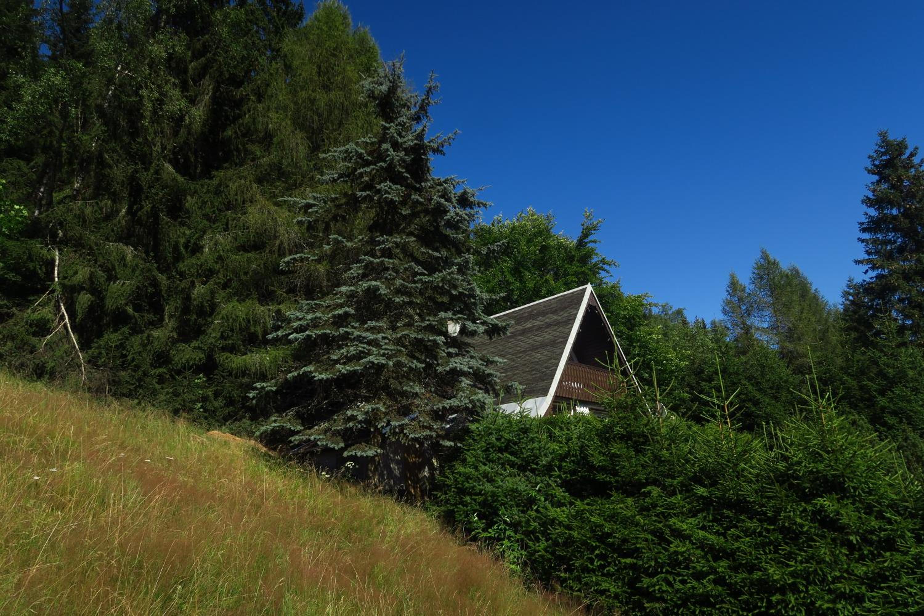 Romantisches Rückzugsnest - Waldidylle und Bergblick