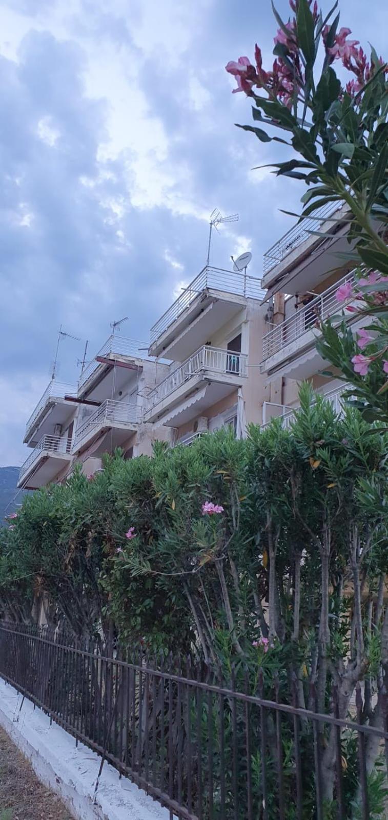 Atlantida Beach Apartment