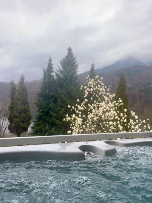 WOLF'S PLANE Luxury Isolated Mountain House for Digital Nomads