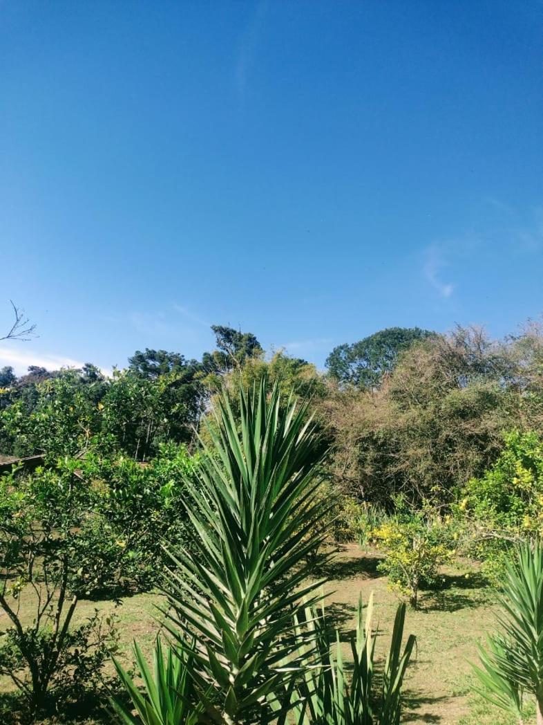 Montanha Home