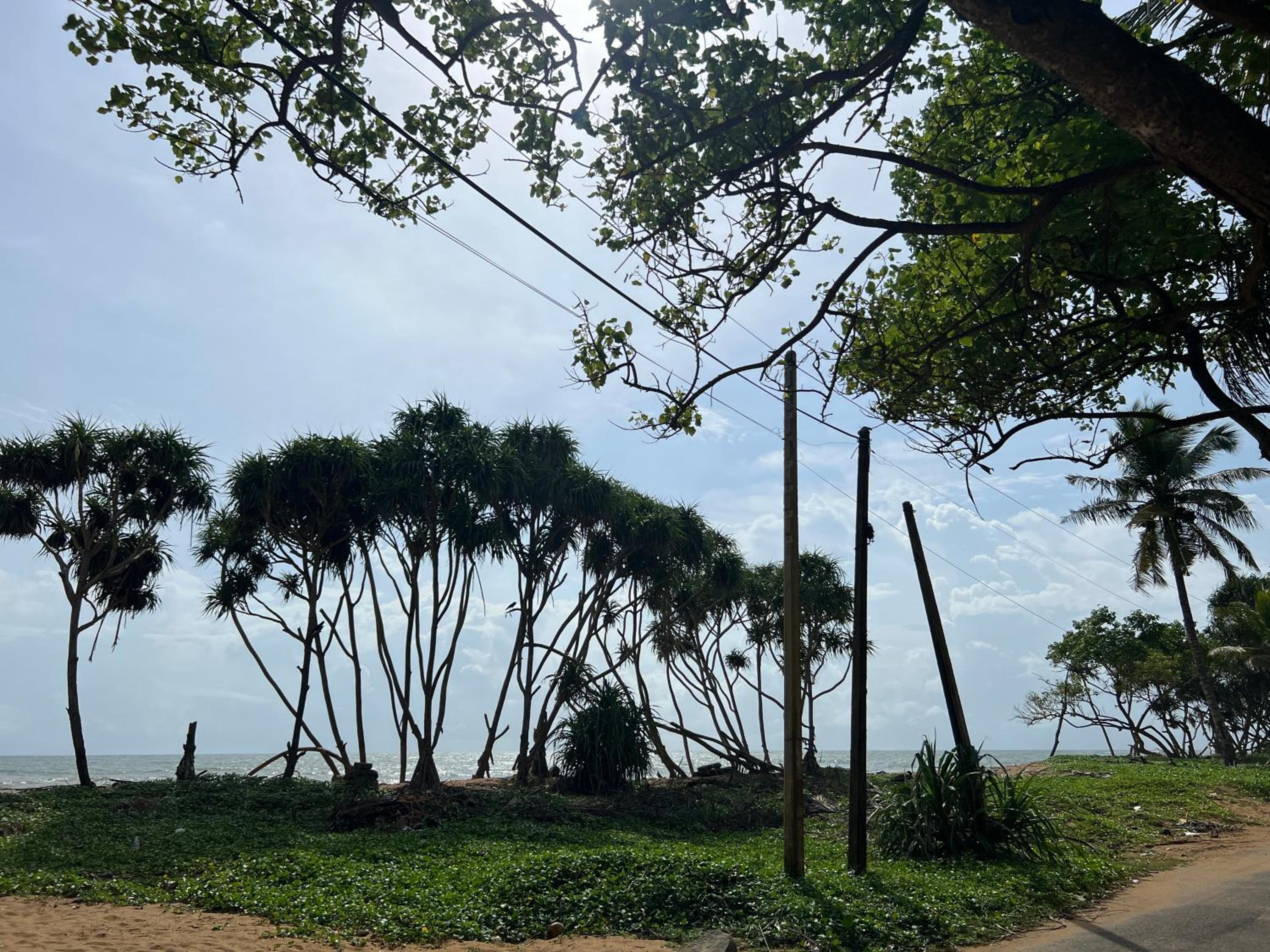 Lohas Beach Villa