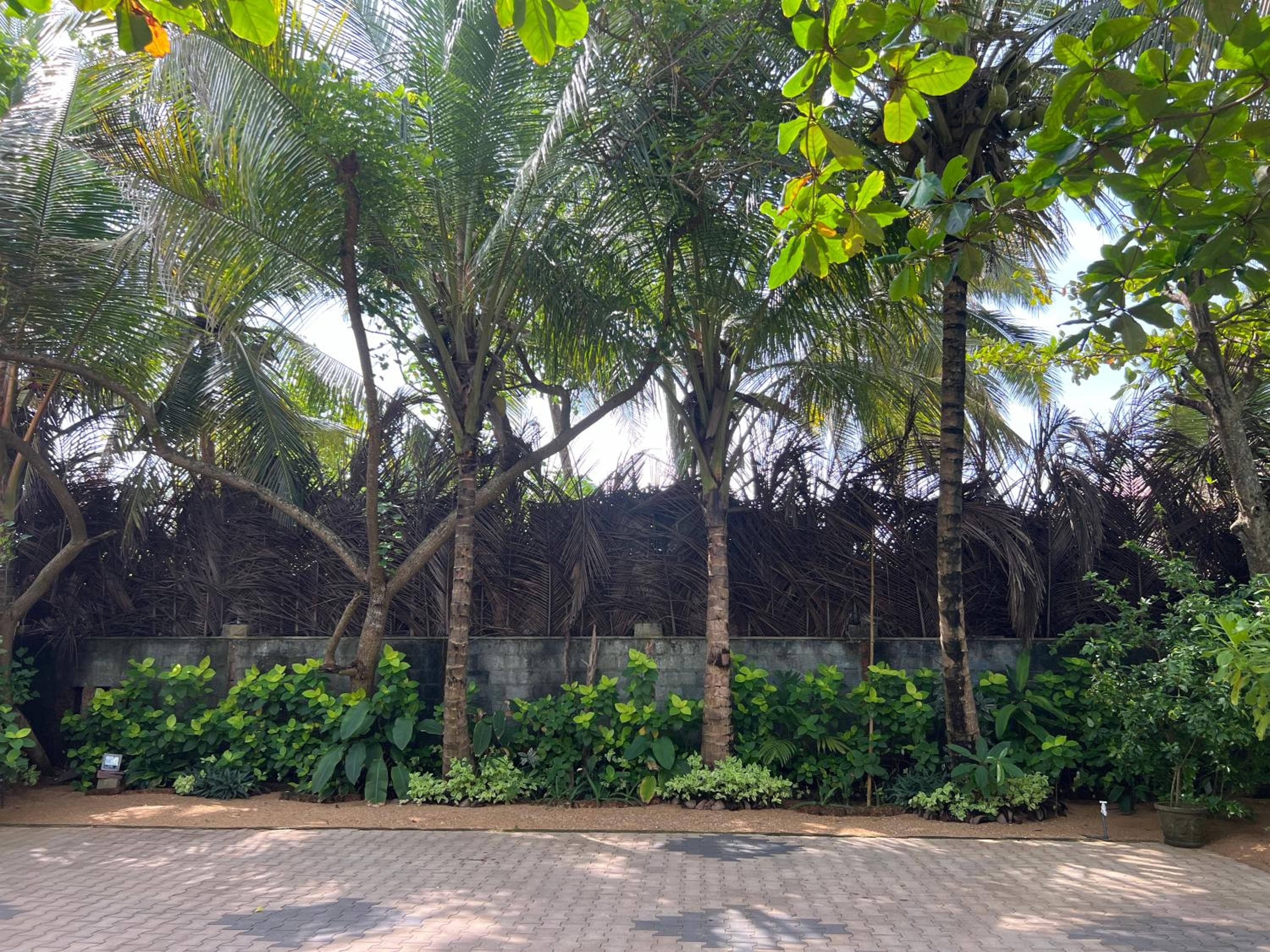 Lohas Beach Villa