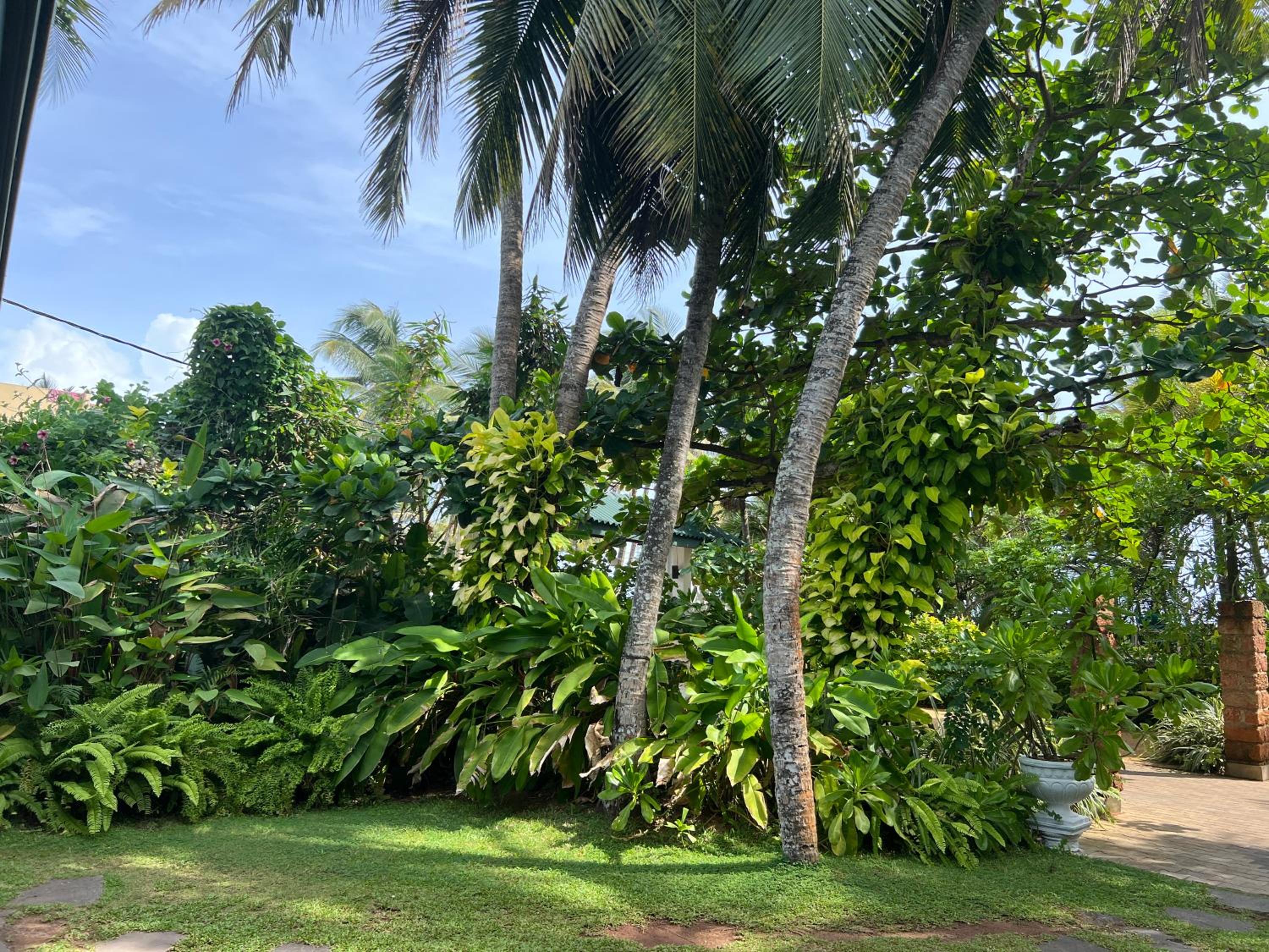Lohas Beach Villa