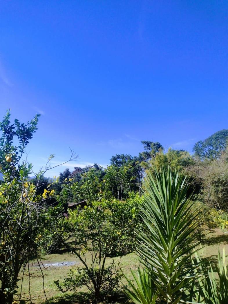 Montanha Home
