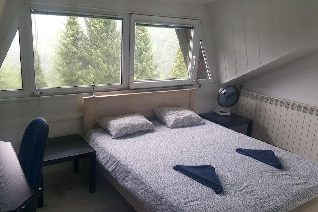 WOLF'S PLANE Luxury Isolated Mountain House for Digital Nomads