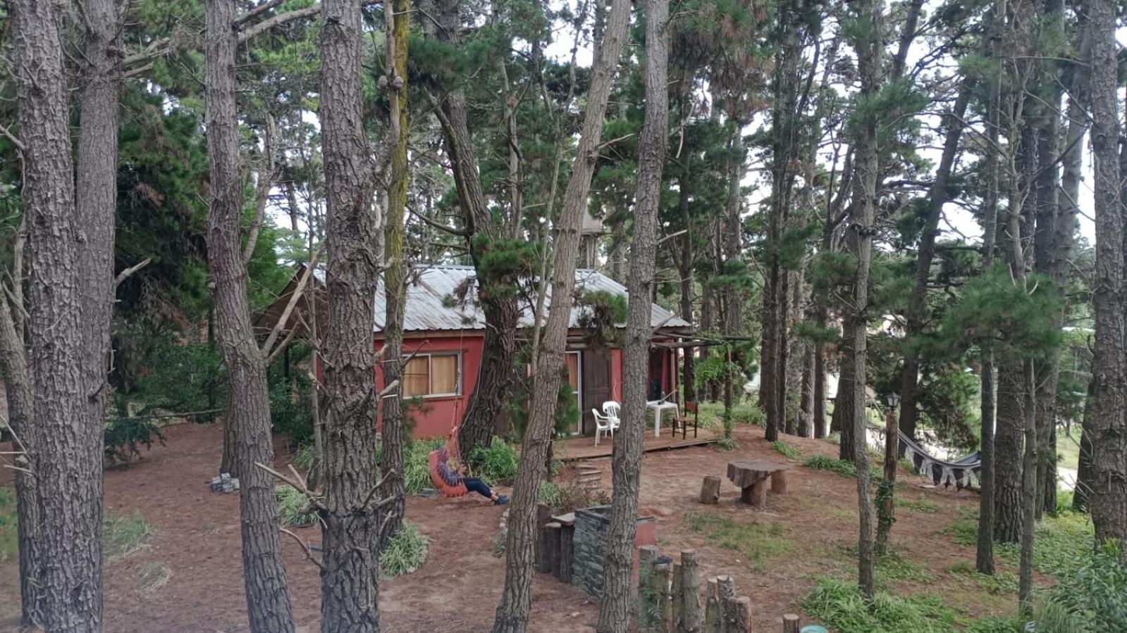 la casita del bosque